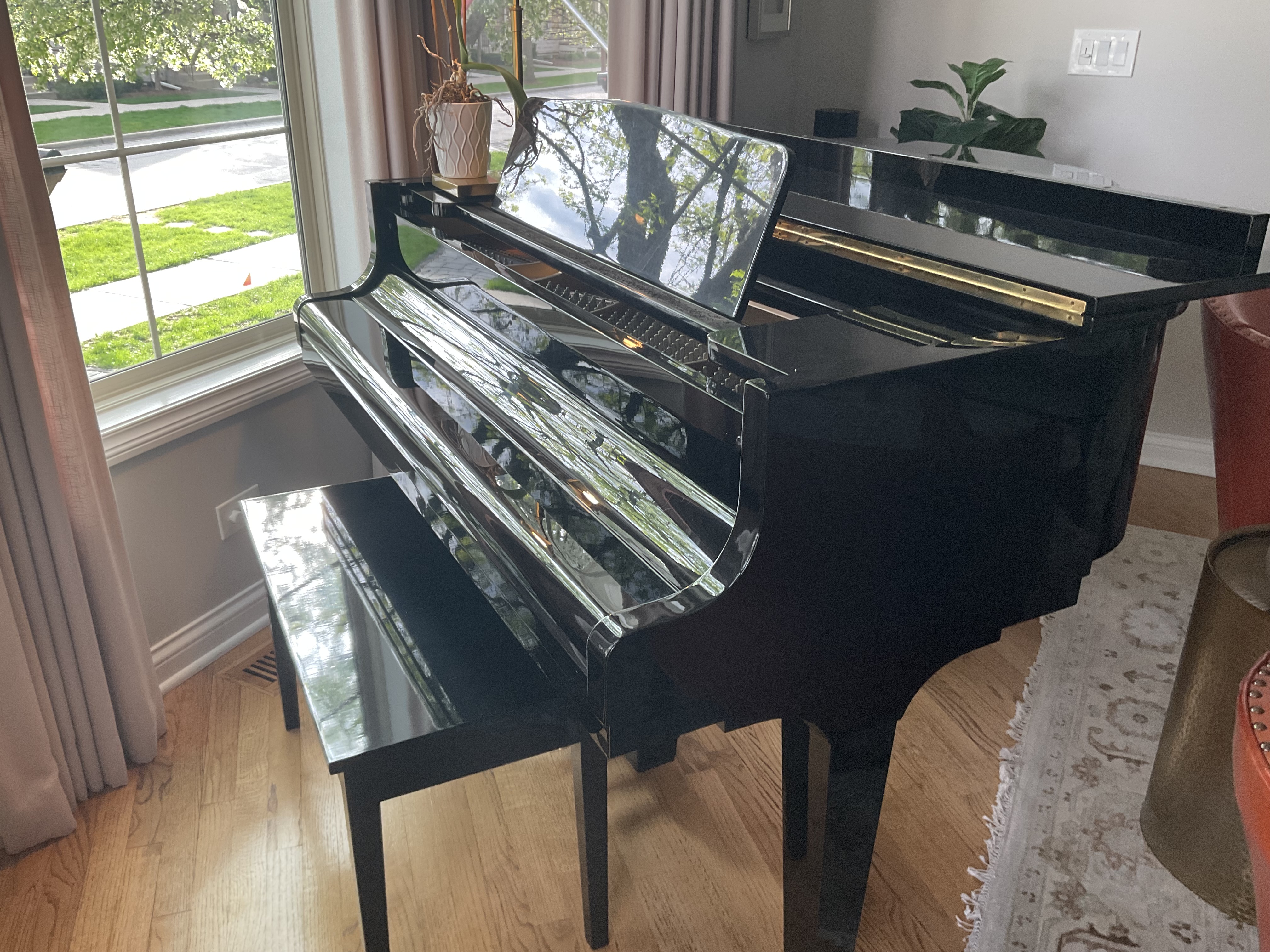 Beautiful Baby Grand.  Must go.  Give us an offer