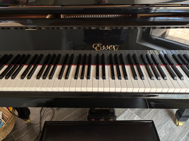 Essex Baby Grand Player Piano