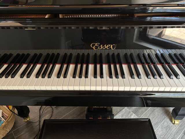 Essex Baby Grand Player Piano