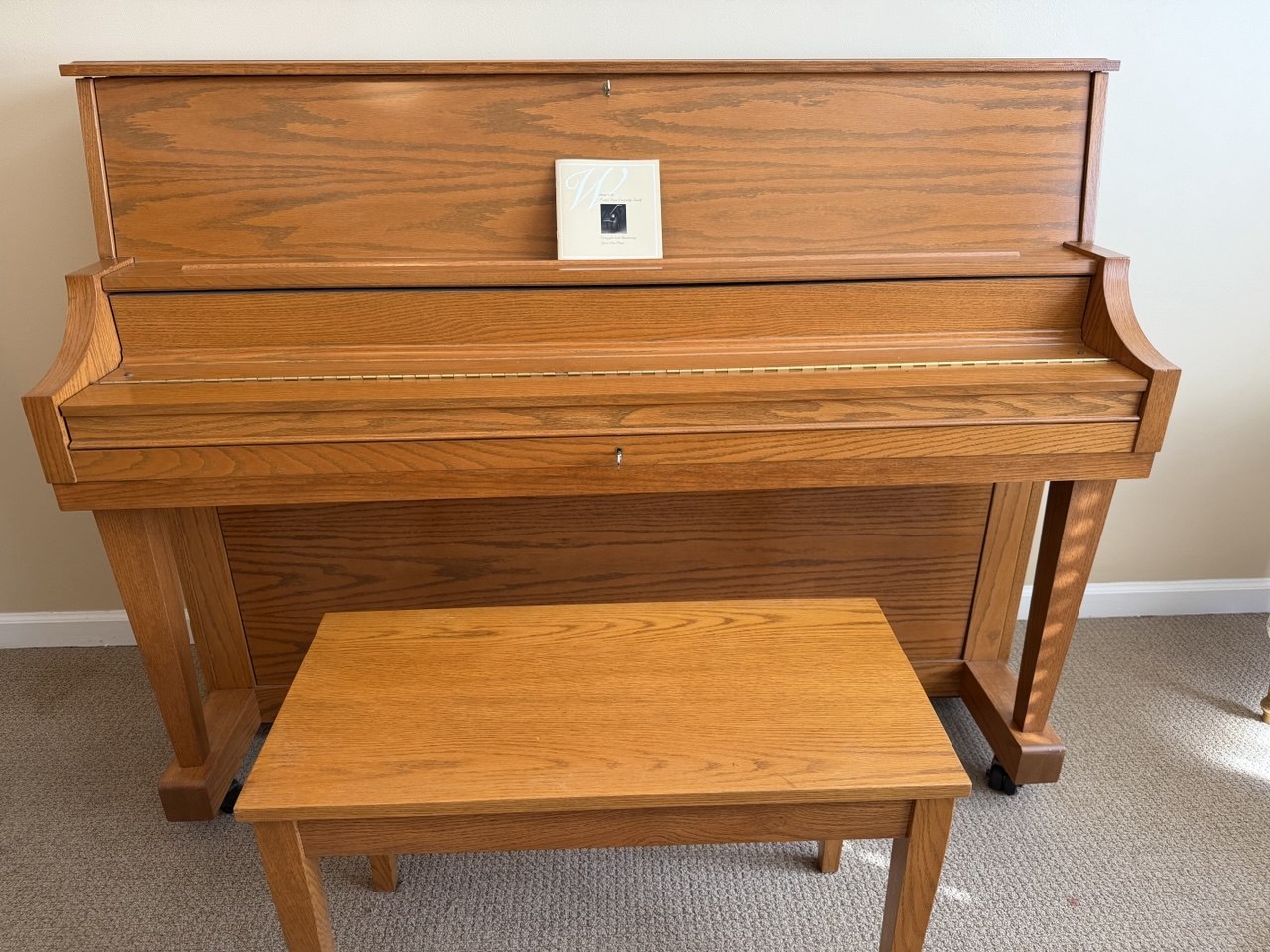 Boston UP-118S Like New!