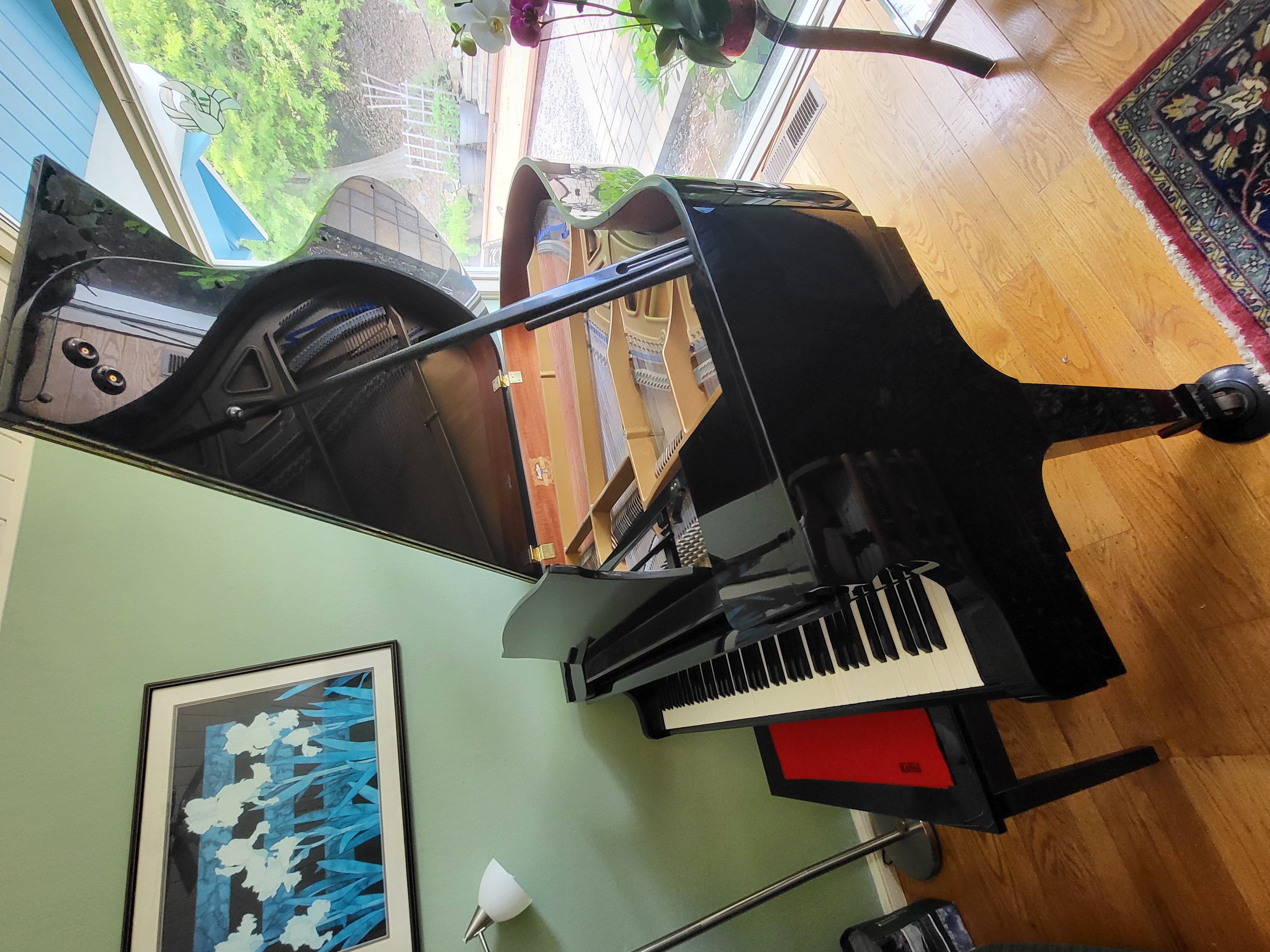 beautiful baby grand piano