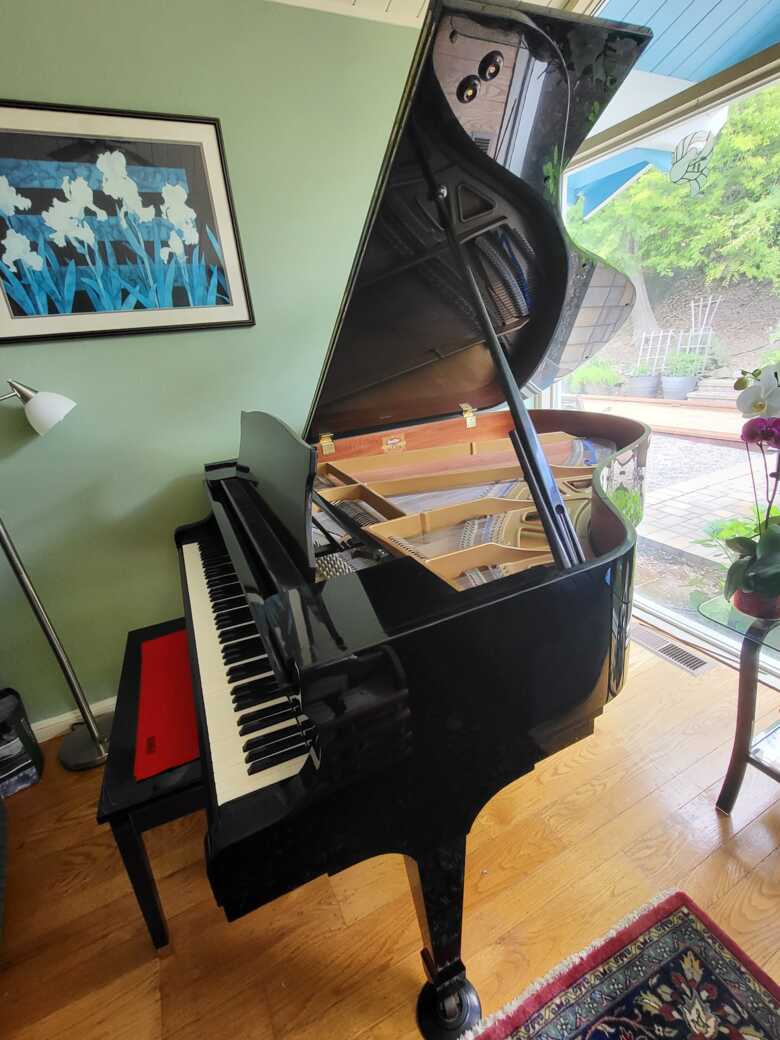 beautiful baby grand piano