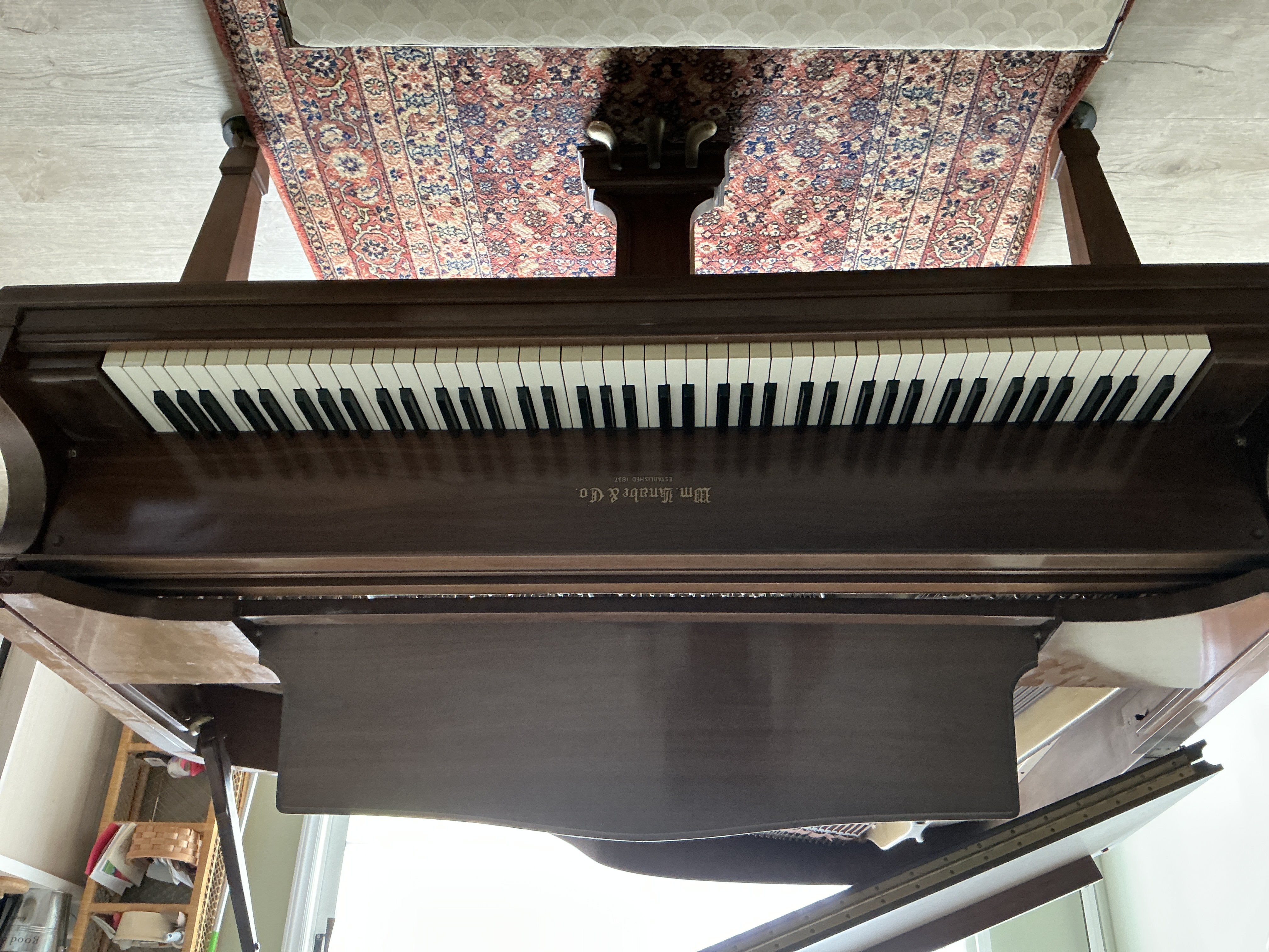 1 owner beauty