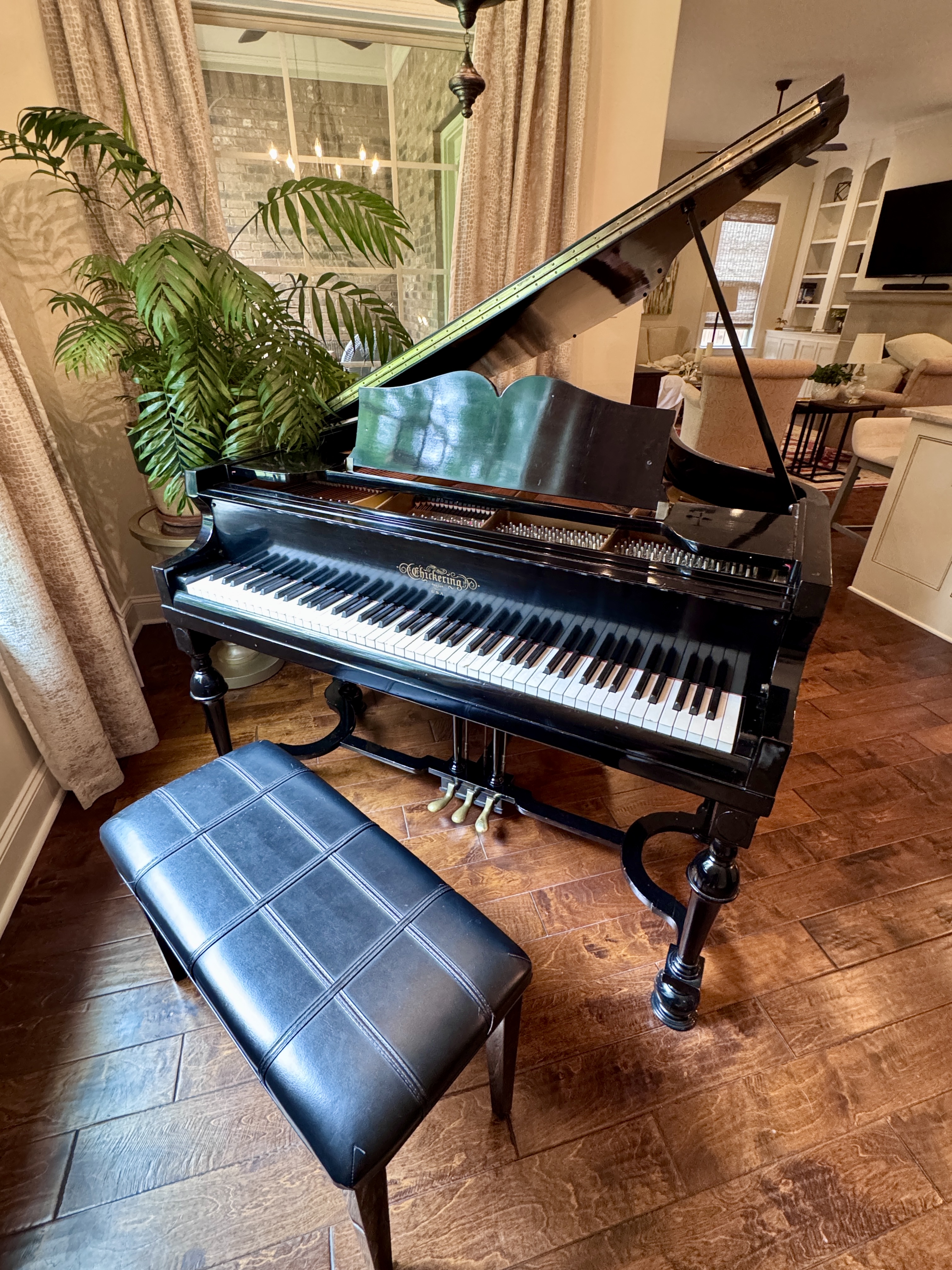 100 year-old Chickering Baby Grand Piano (Restored)