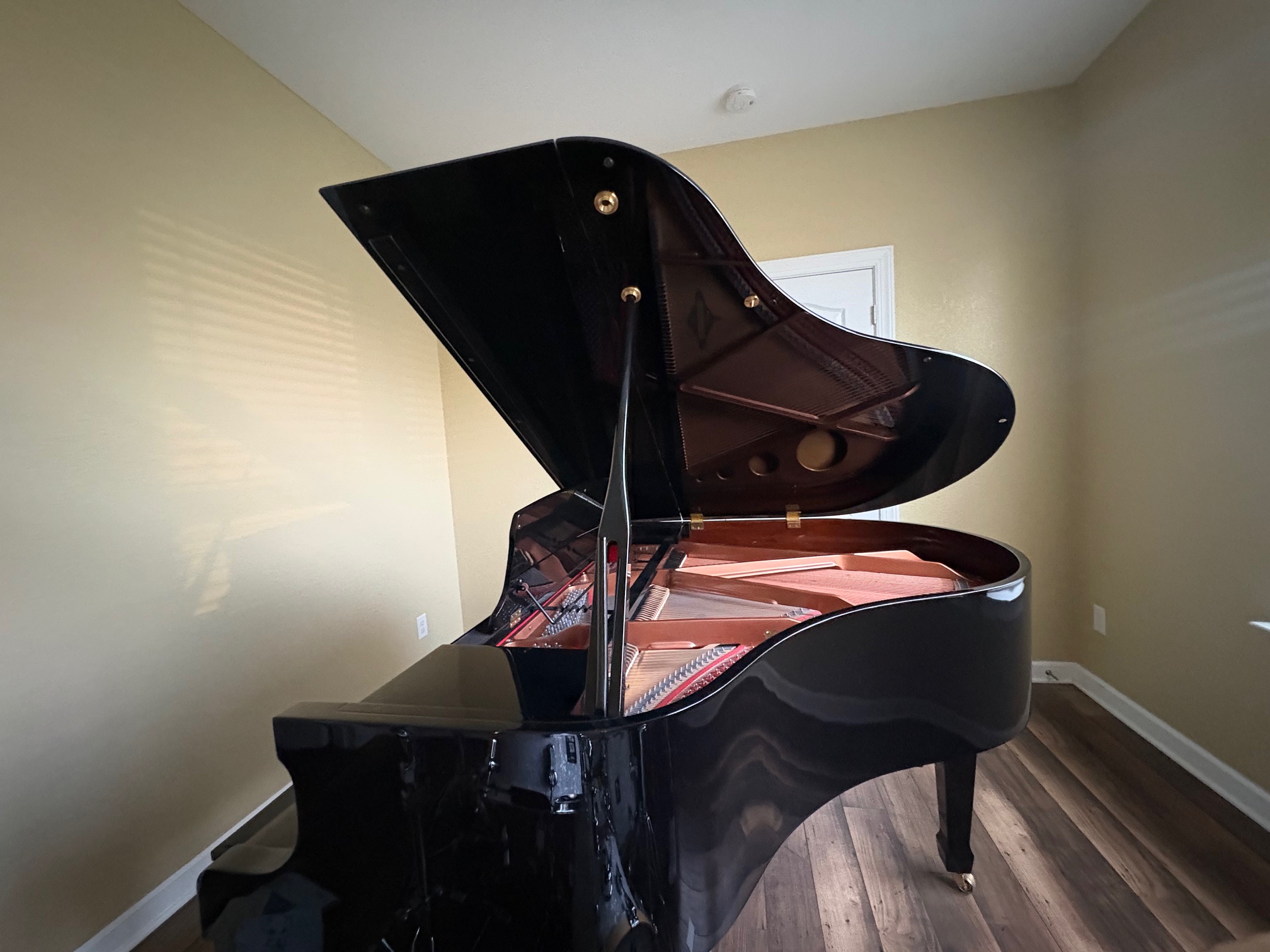 Beautiful, pristine condition, ebony piano.