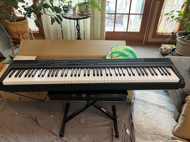 Yamaha P-115 digital piano - one owner
