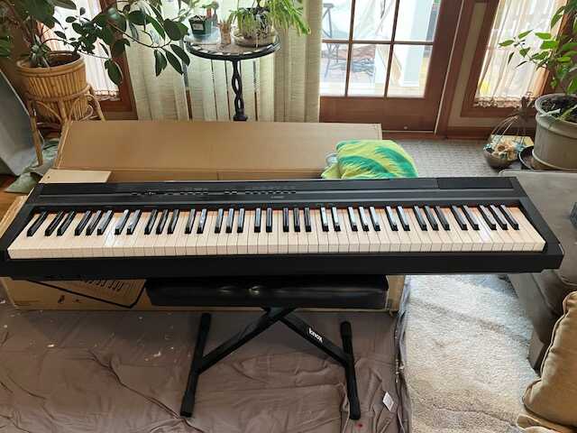 Yamaha P-115 digital piano - one owner