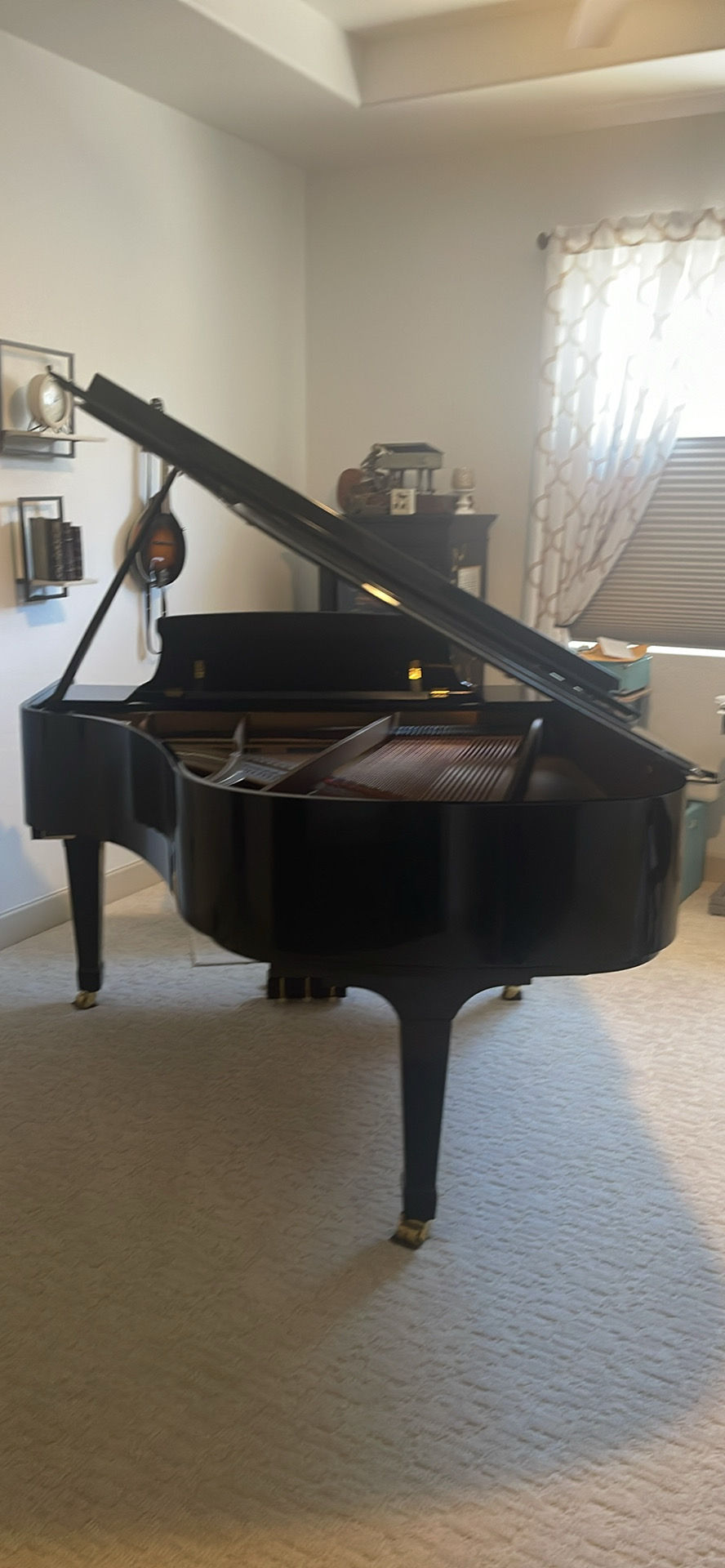 Essex EGP-173C Baby Grand Piano