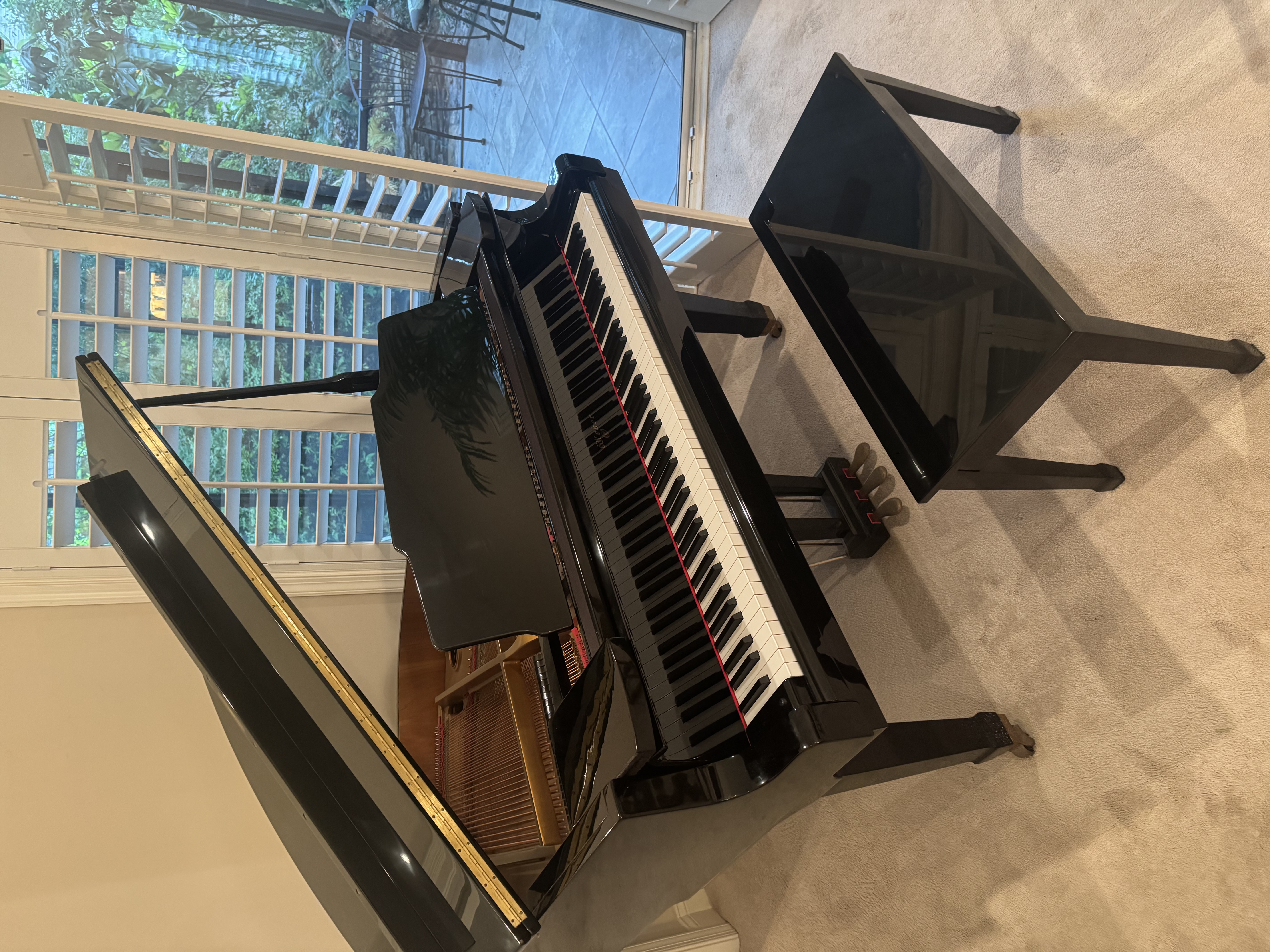 Baby Grand in pristine condition!