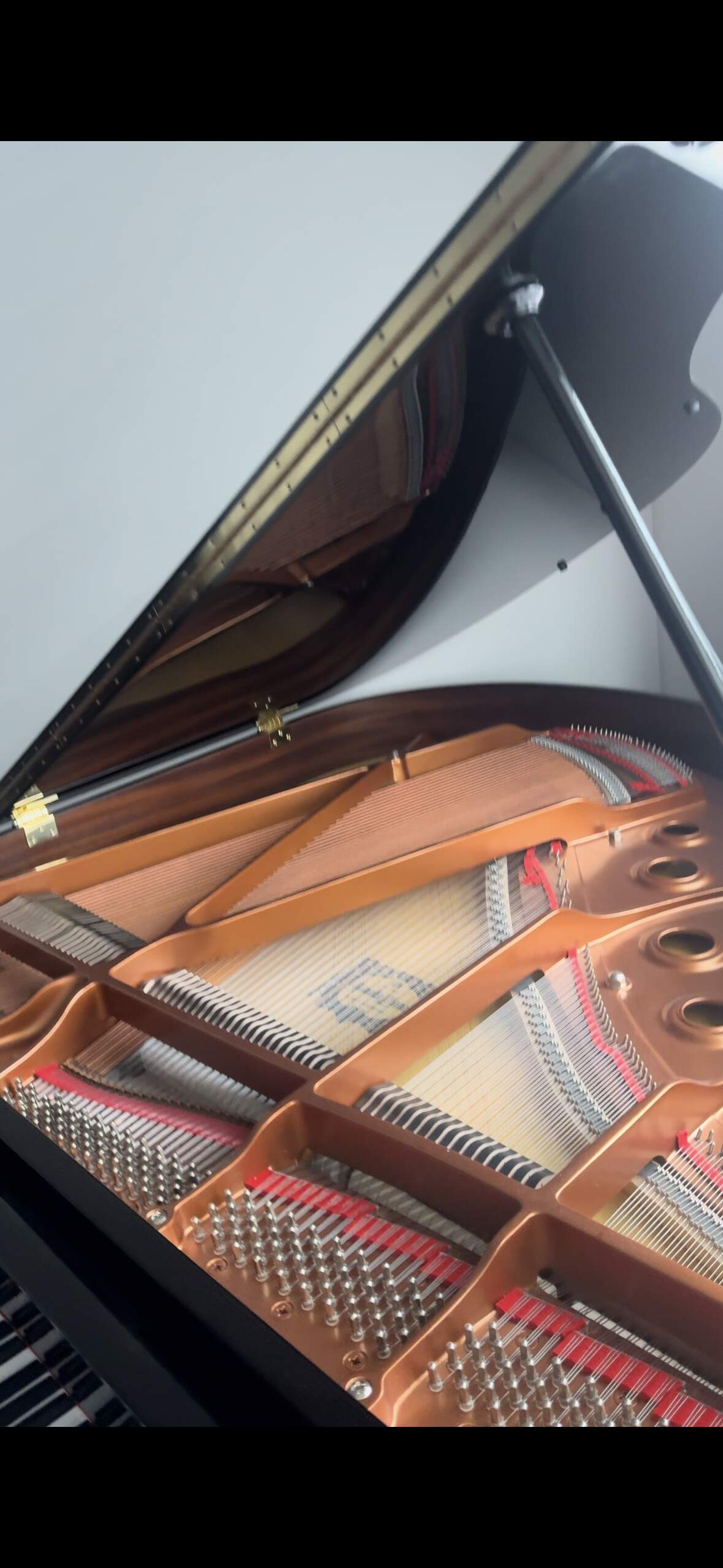 Yamaha GB1K
