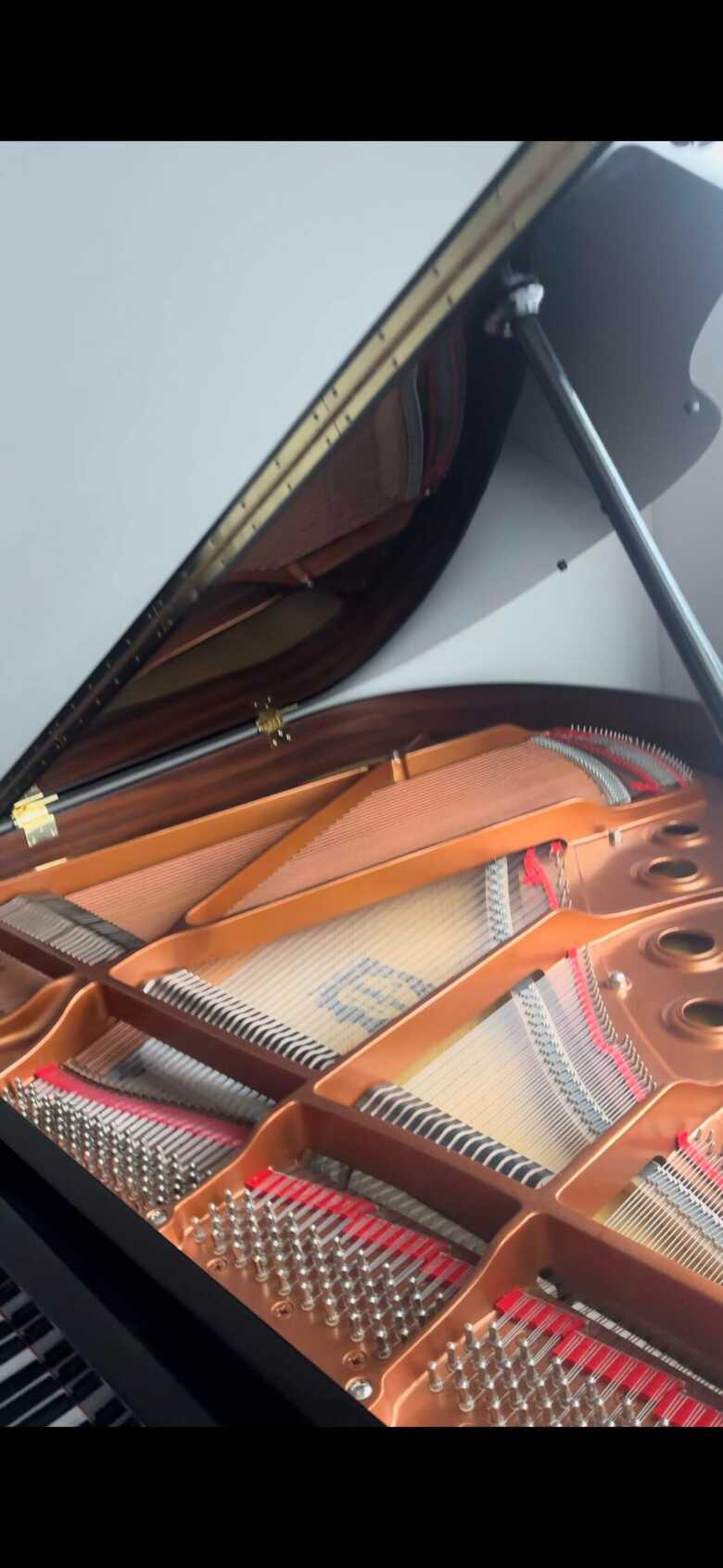 Yamaha GB1K