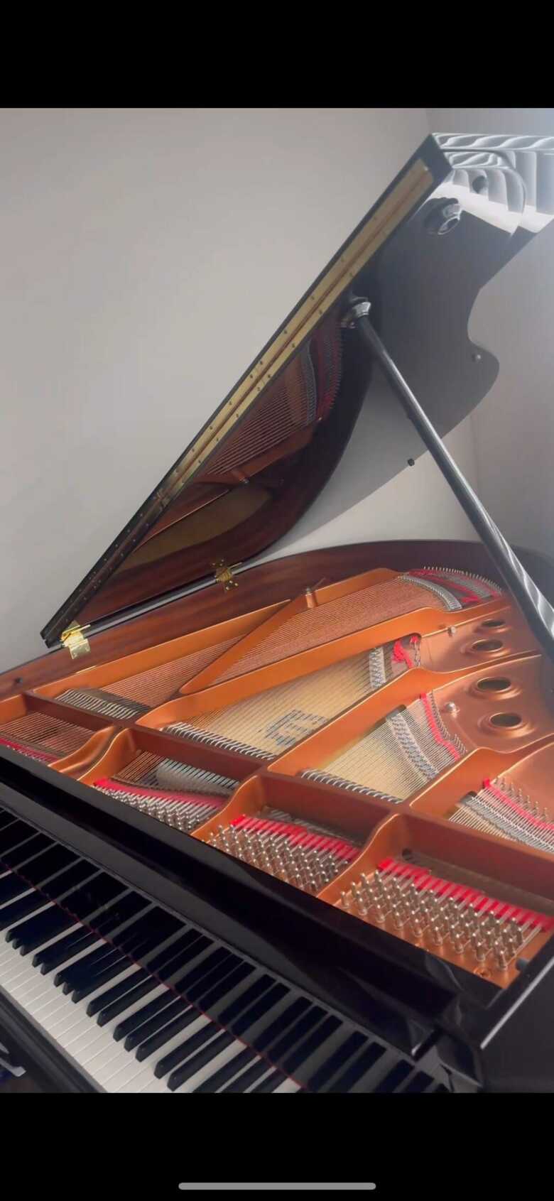 Yamaha GB1K