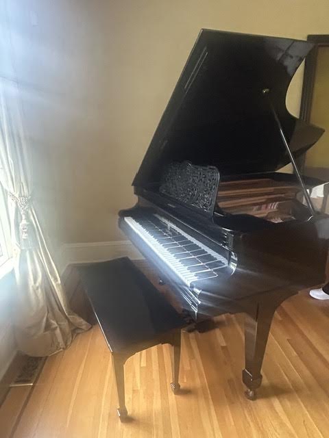 Beautiful Antique German Julius Feurich Ebony Gloss Piano