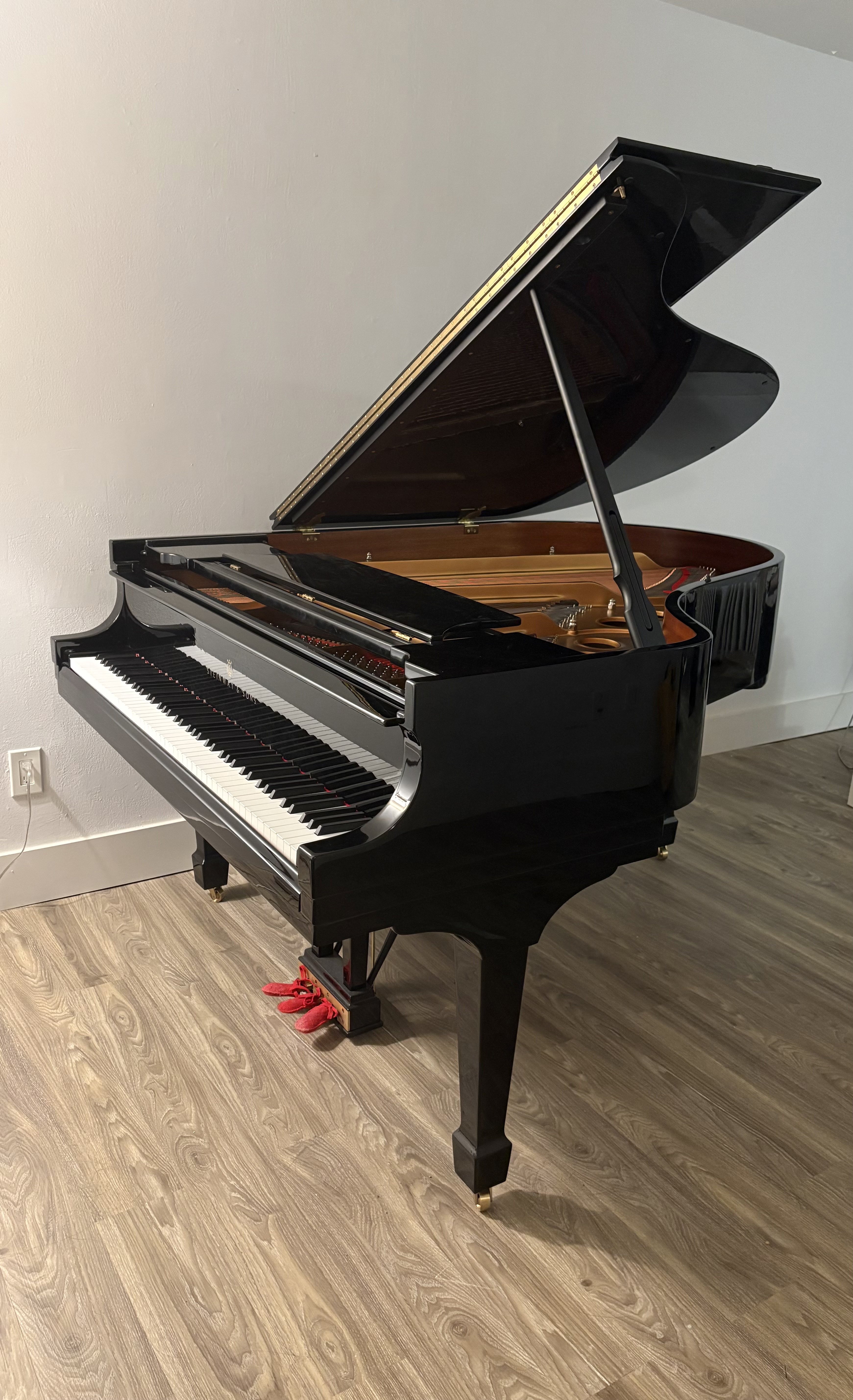 Steinway & Sons living room grand