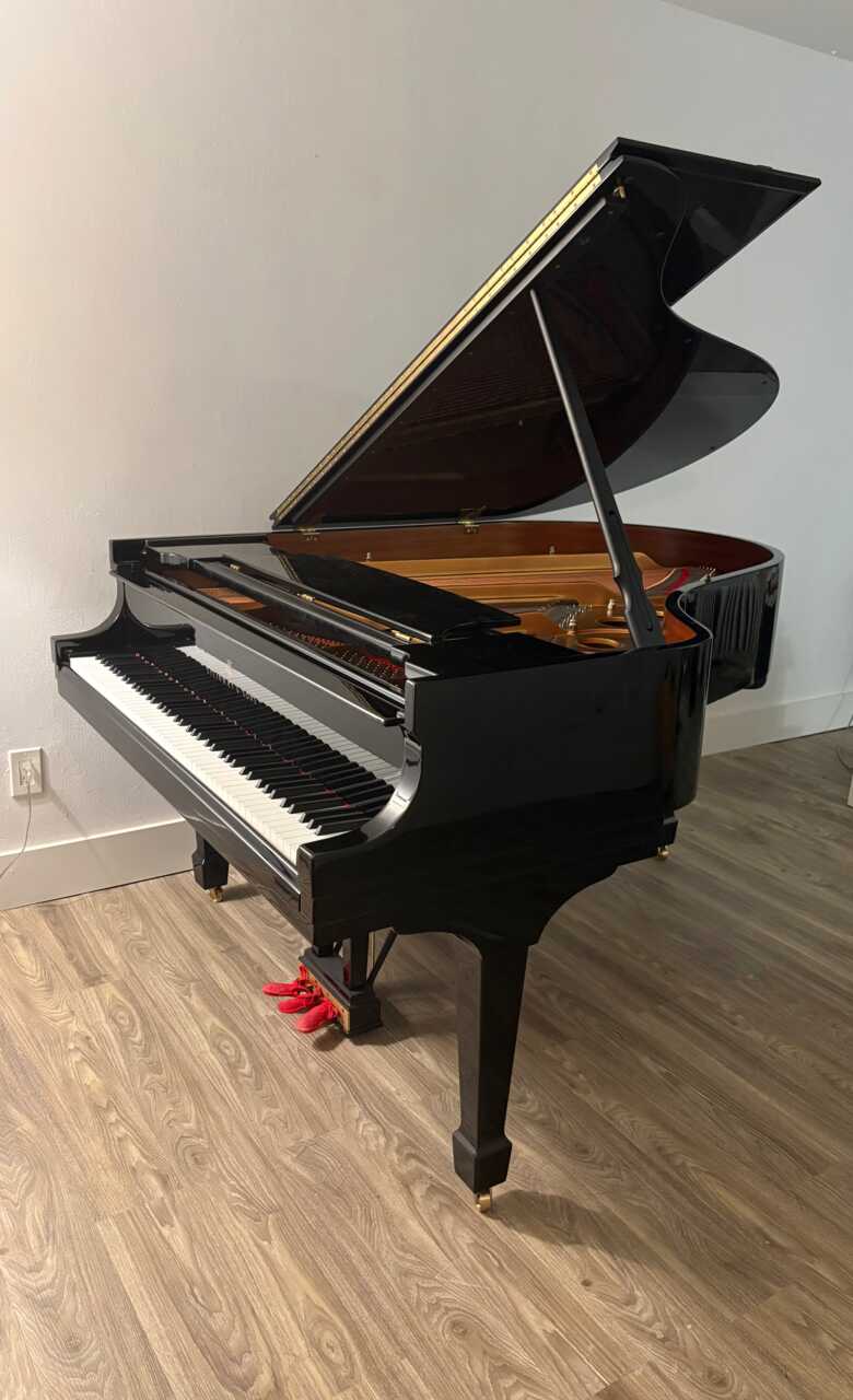 Steinway & Sons living room grand