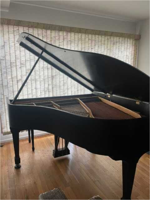 Steinway & Sons Model M Baby Grand Piano (1985)
