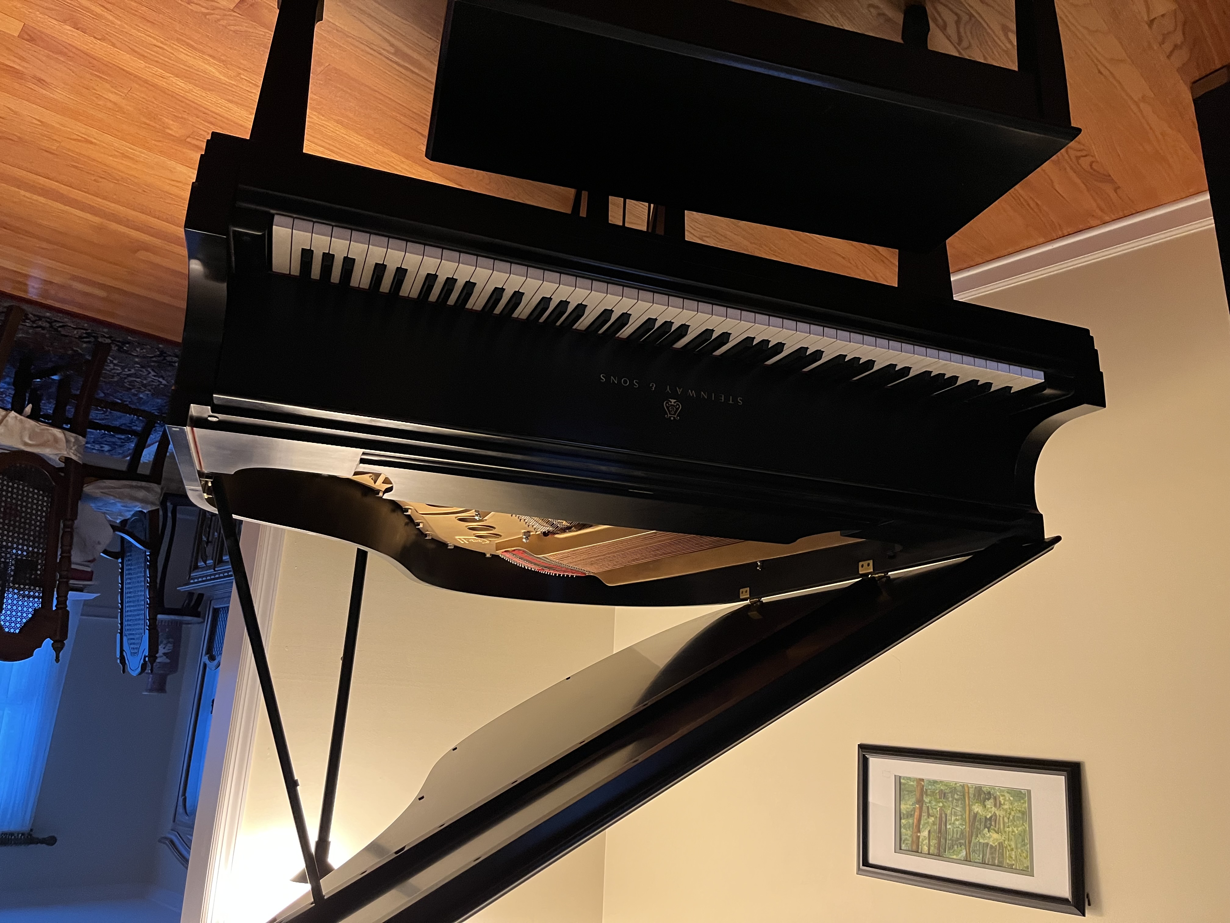 Steinway & Sons Grand Piano Model M