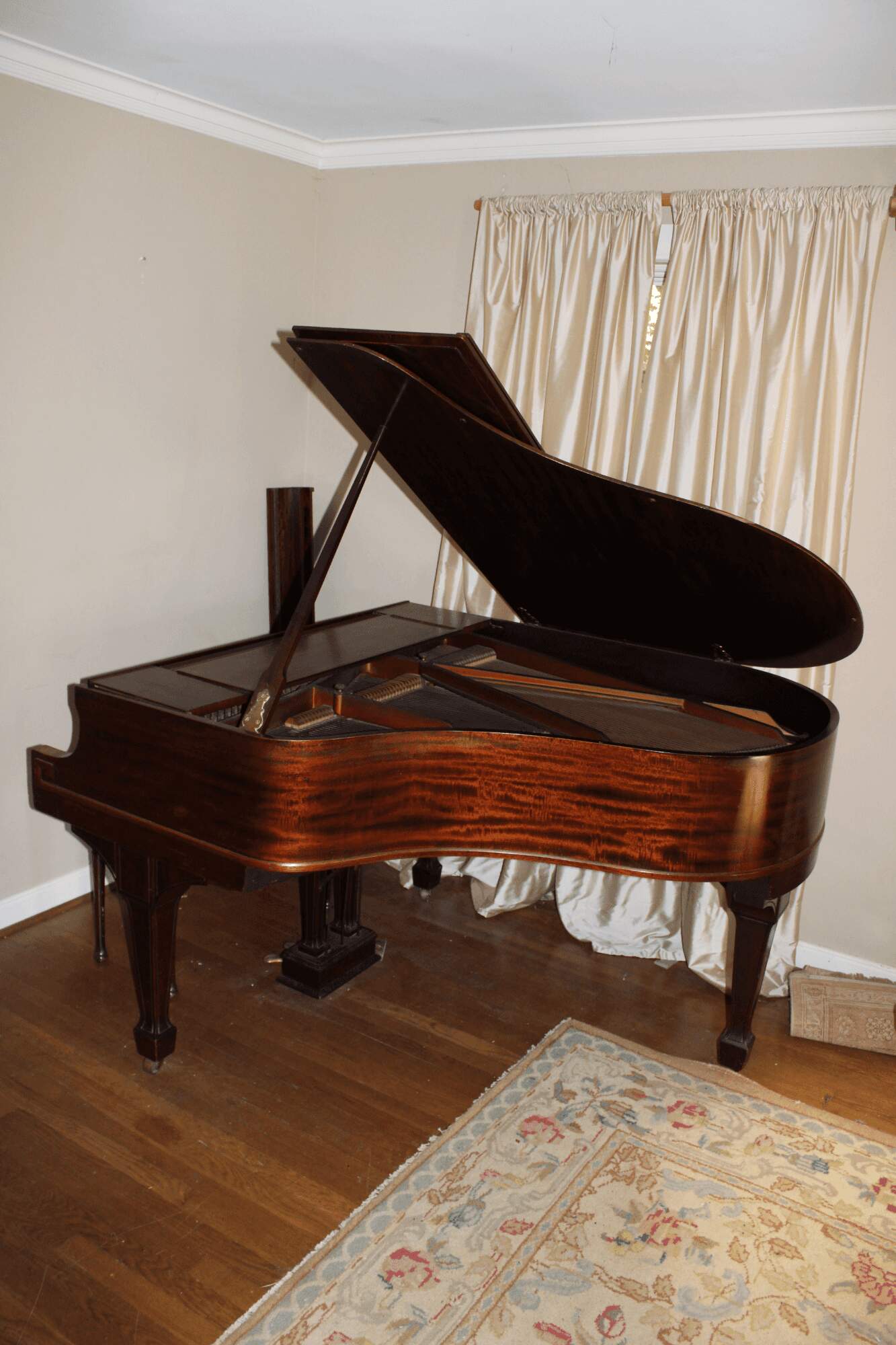 Kranich & Bach baby grand: 1-DAY SALE!