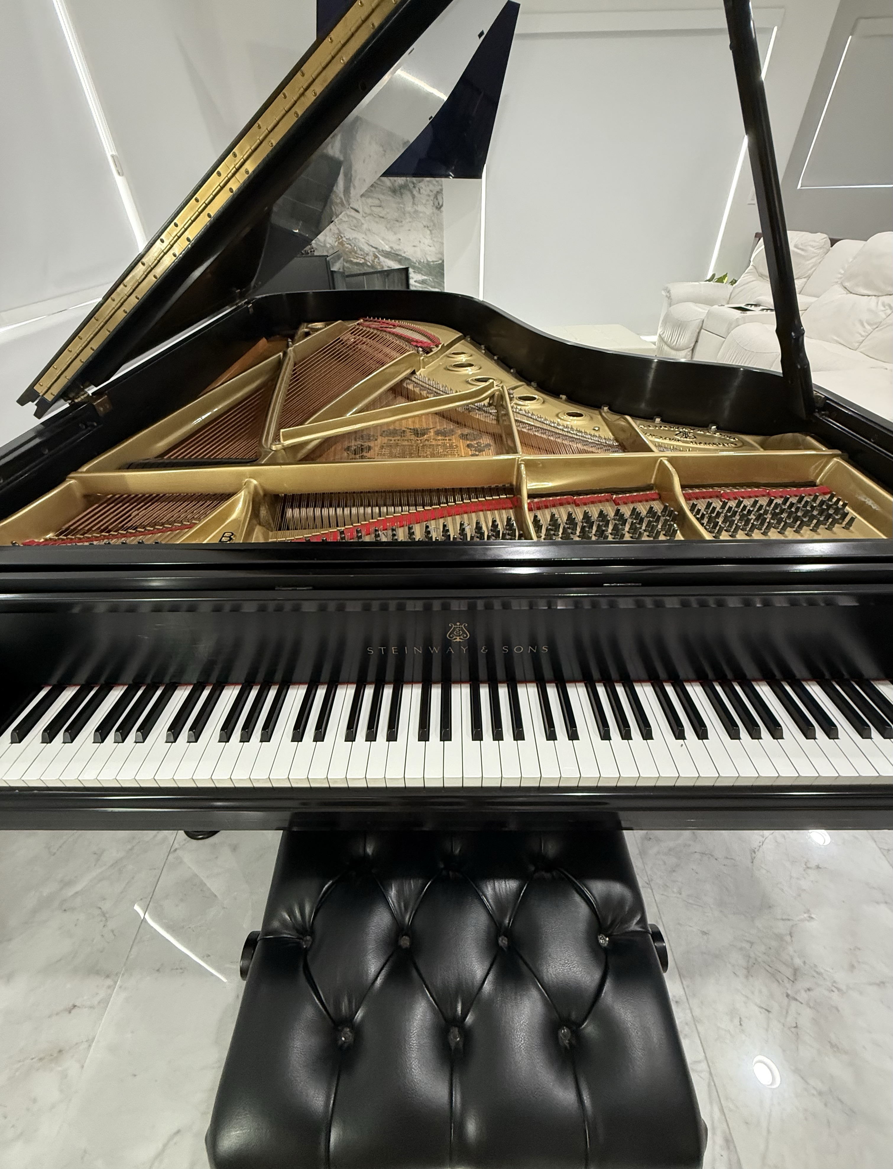 Steinway & Sons Model B