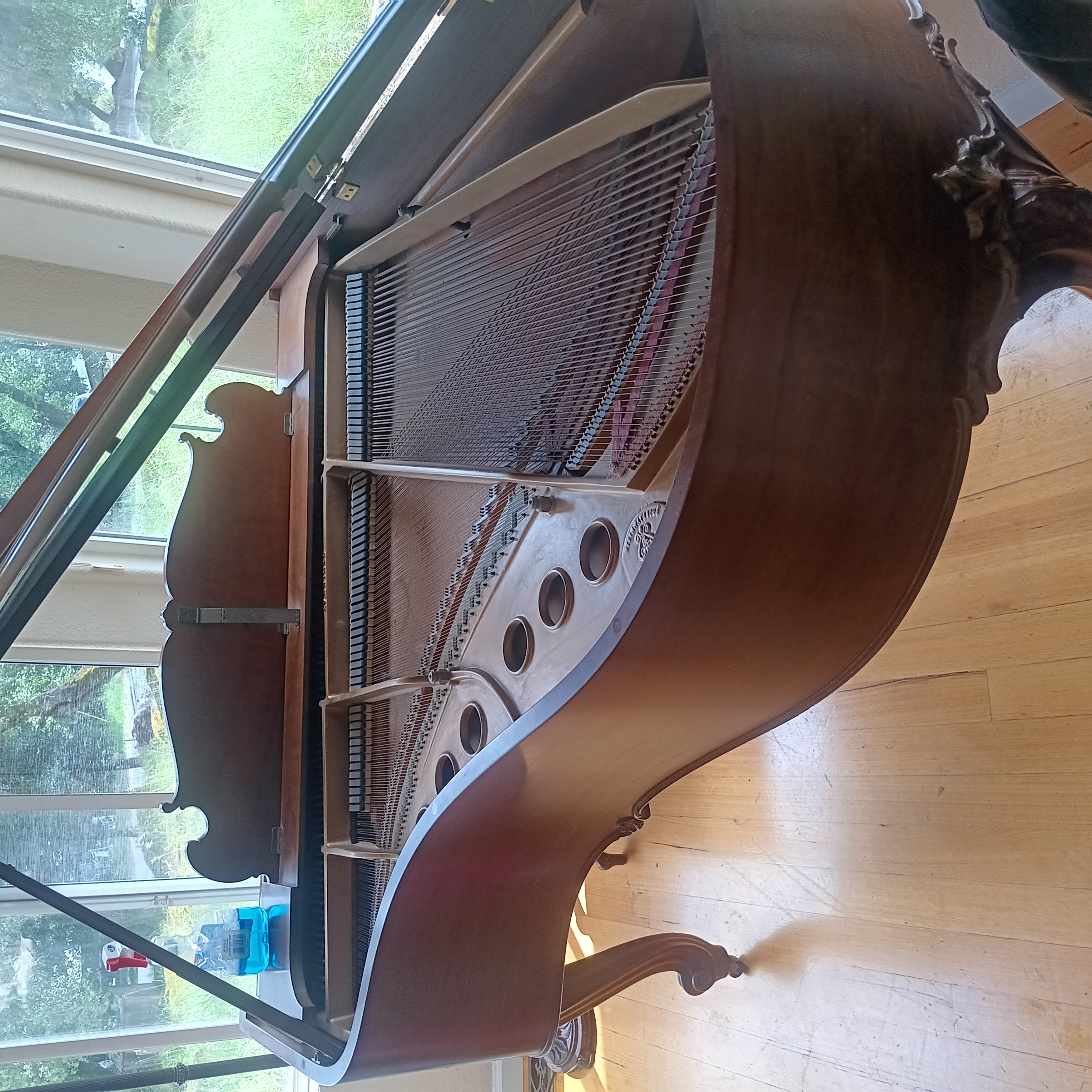 Vtg 60' Steinway & Sons medium grand Louis XV style French o