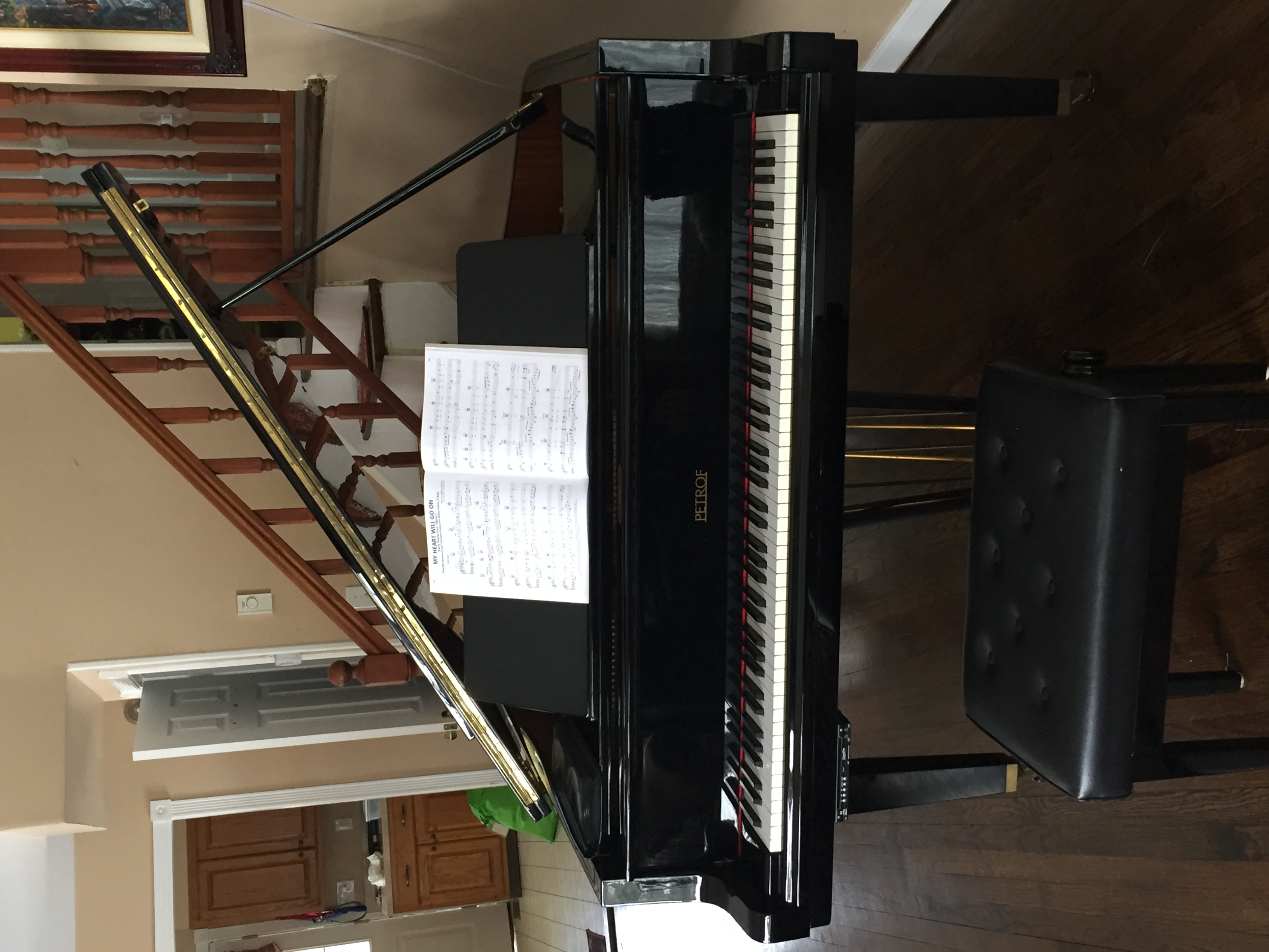 Petrof Model III with Pianodisc IQ player system