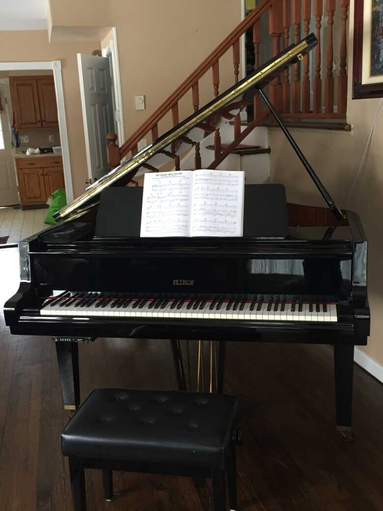 Petrof Model III with Pianodisc IQ player system