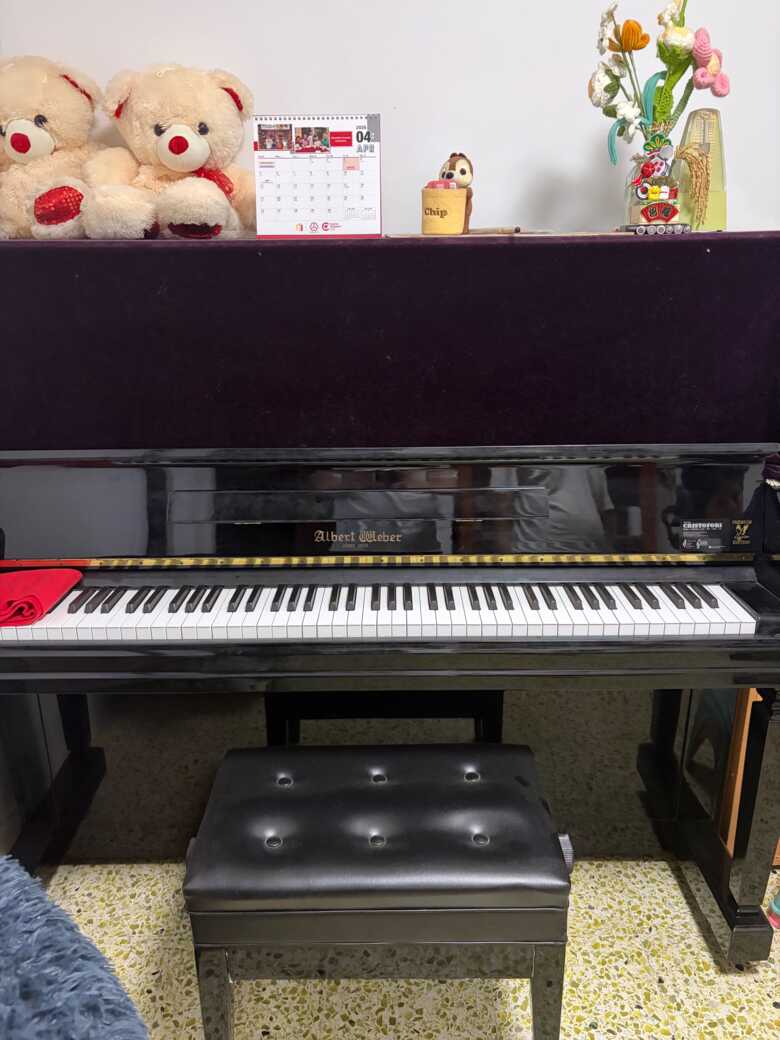 Albert Weber AW131 Piano (2015)
