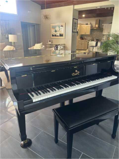 Steinway Grand Piano (Essex) EGP-155