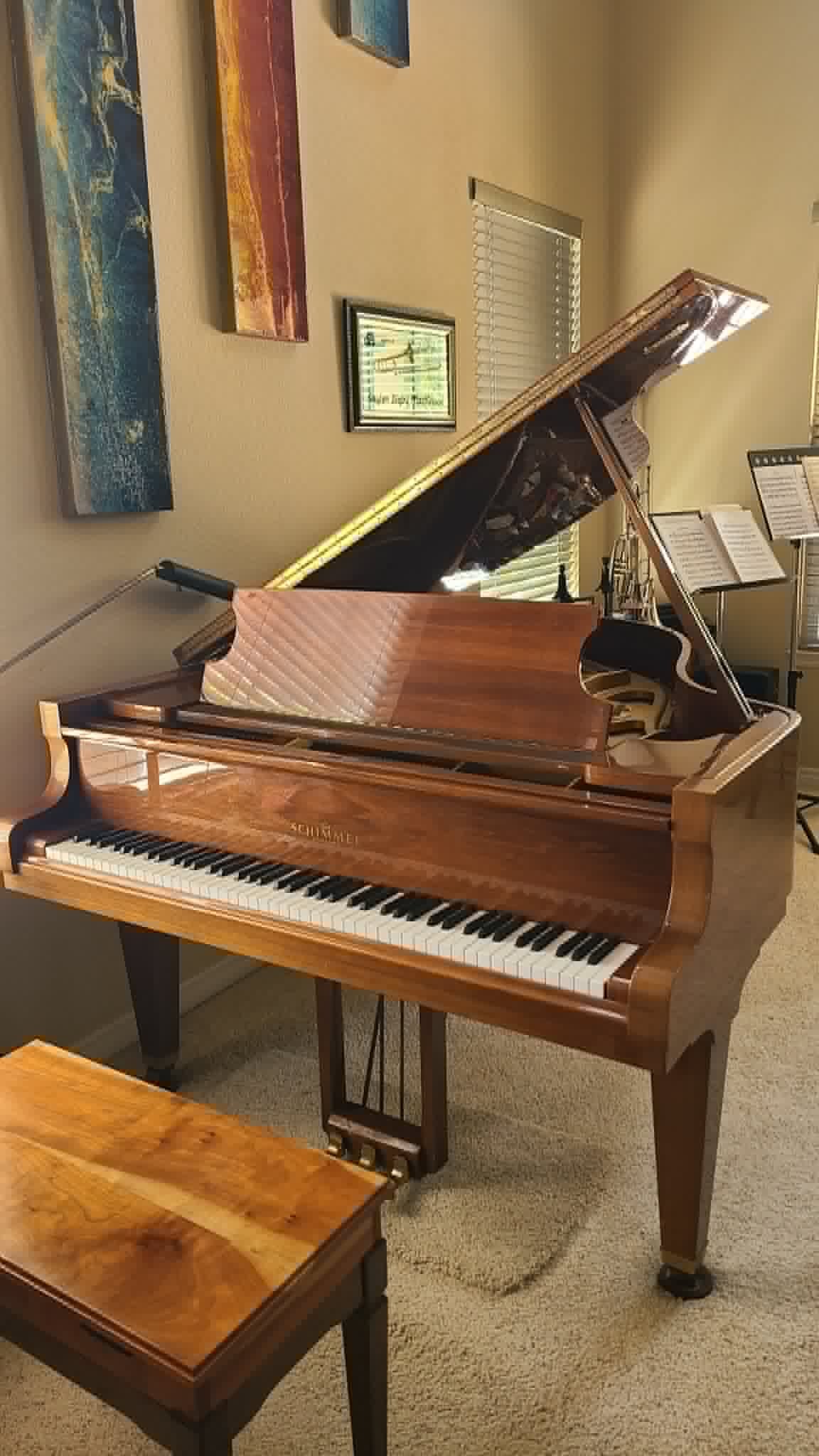 Schimmel 5'10" Gorgeous Walnut Gloss