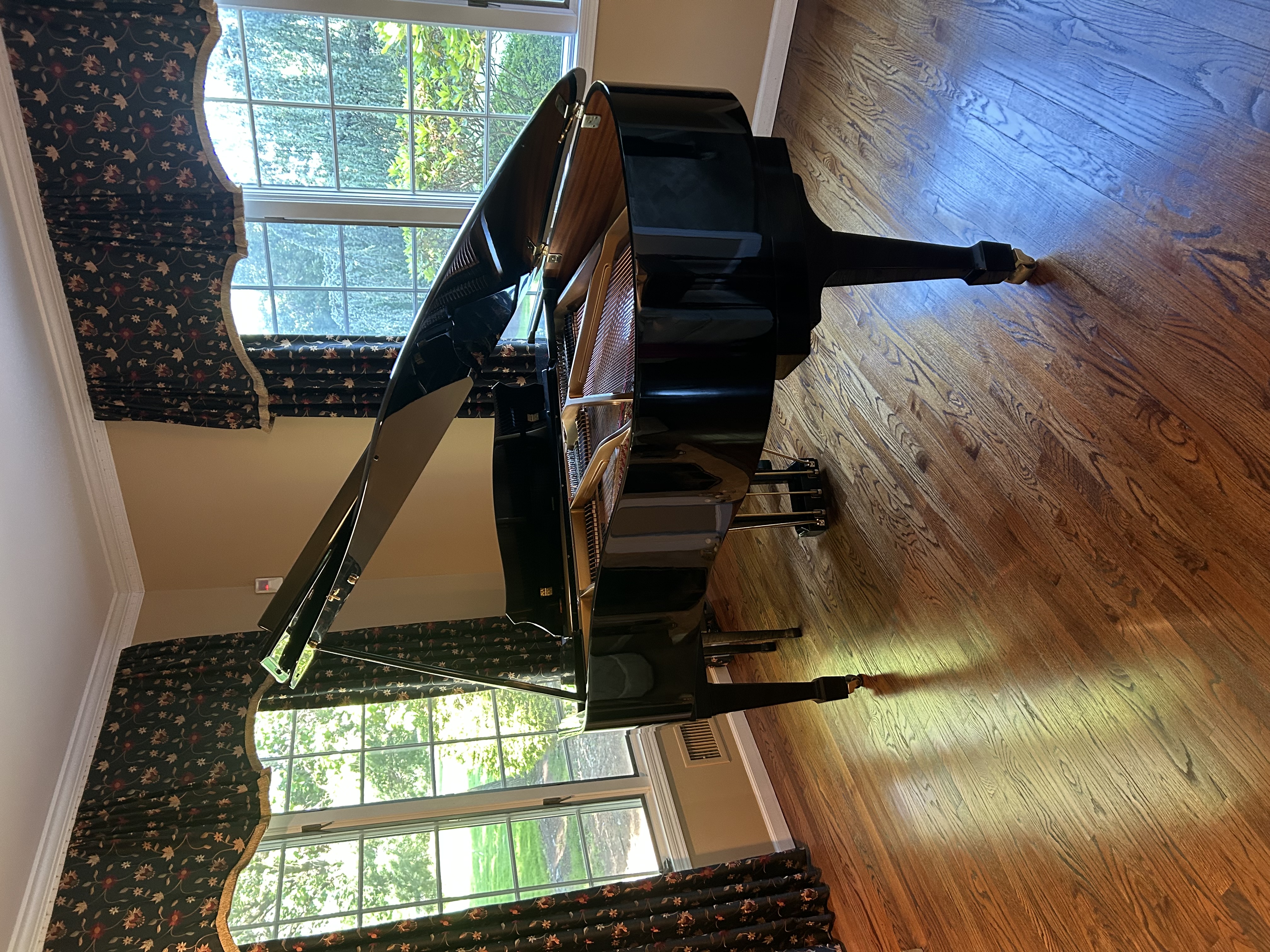 Beautiful baby grand
