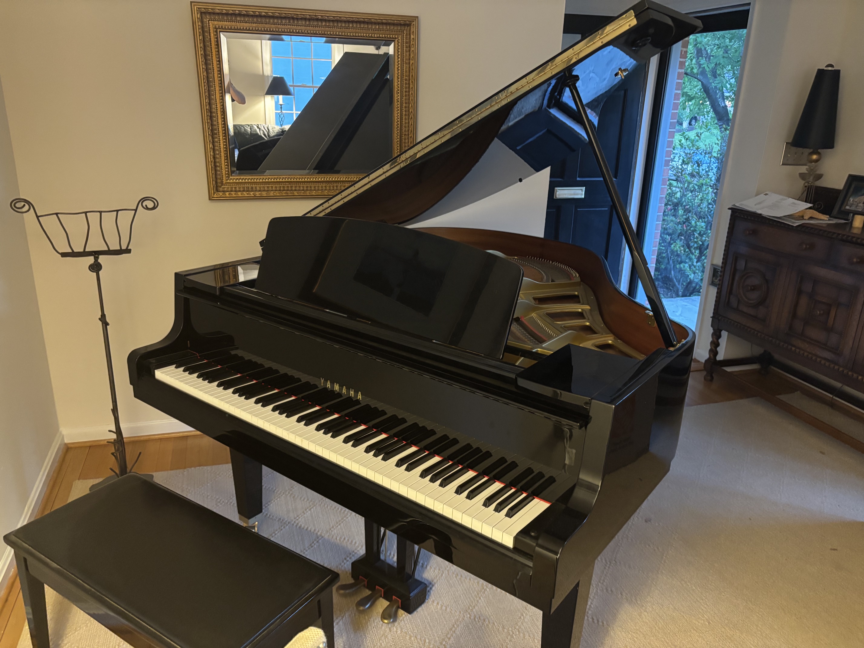 Baby Grand in Alexandria