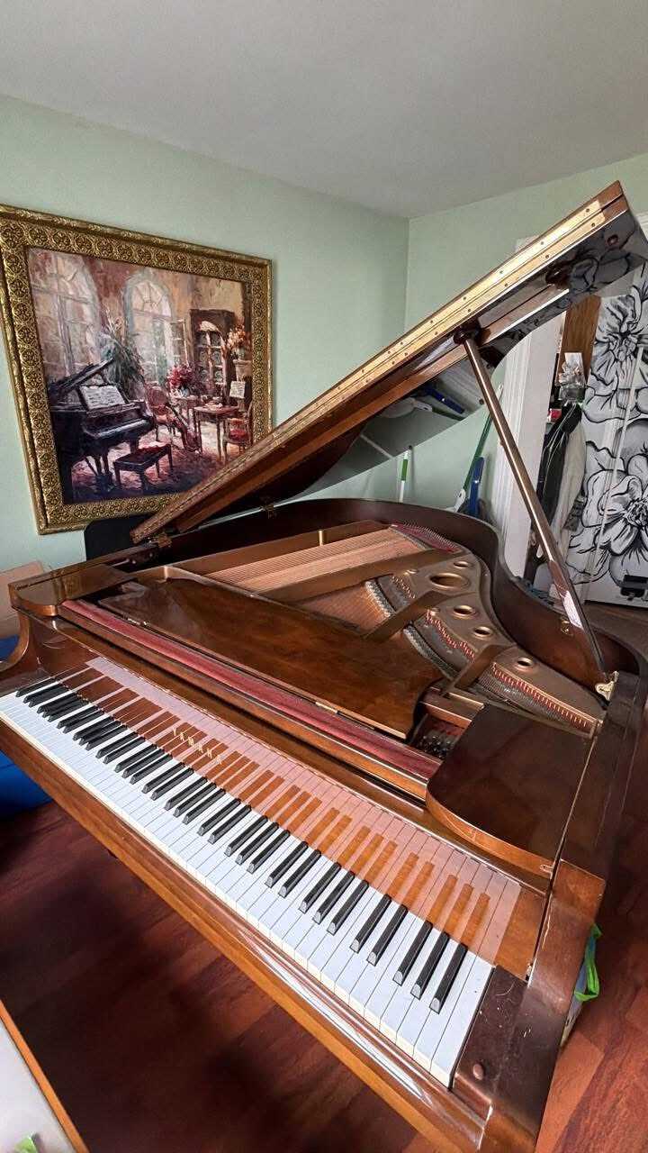 Great deal on a rare finish! 