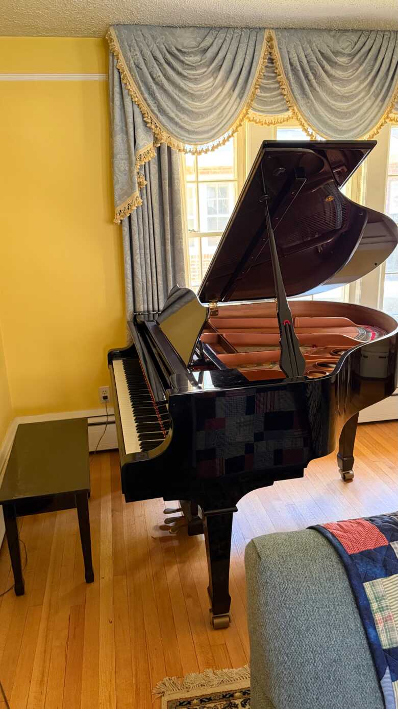 Young Chang Baby Grand Like New