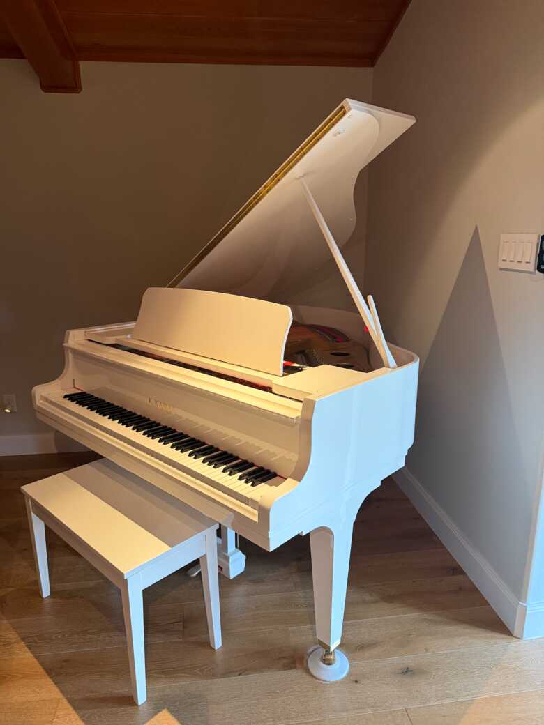 Beautiful Baby Grand ready for a new Home 