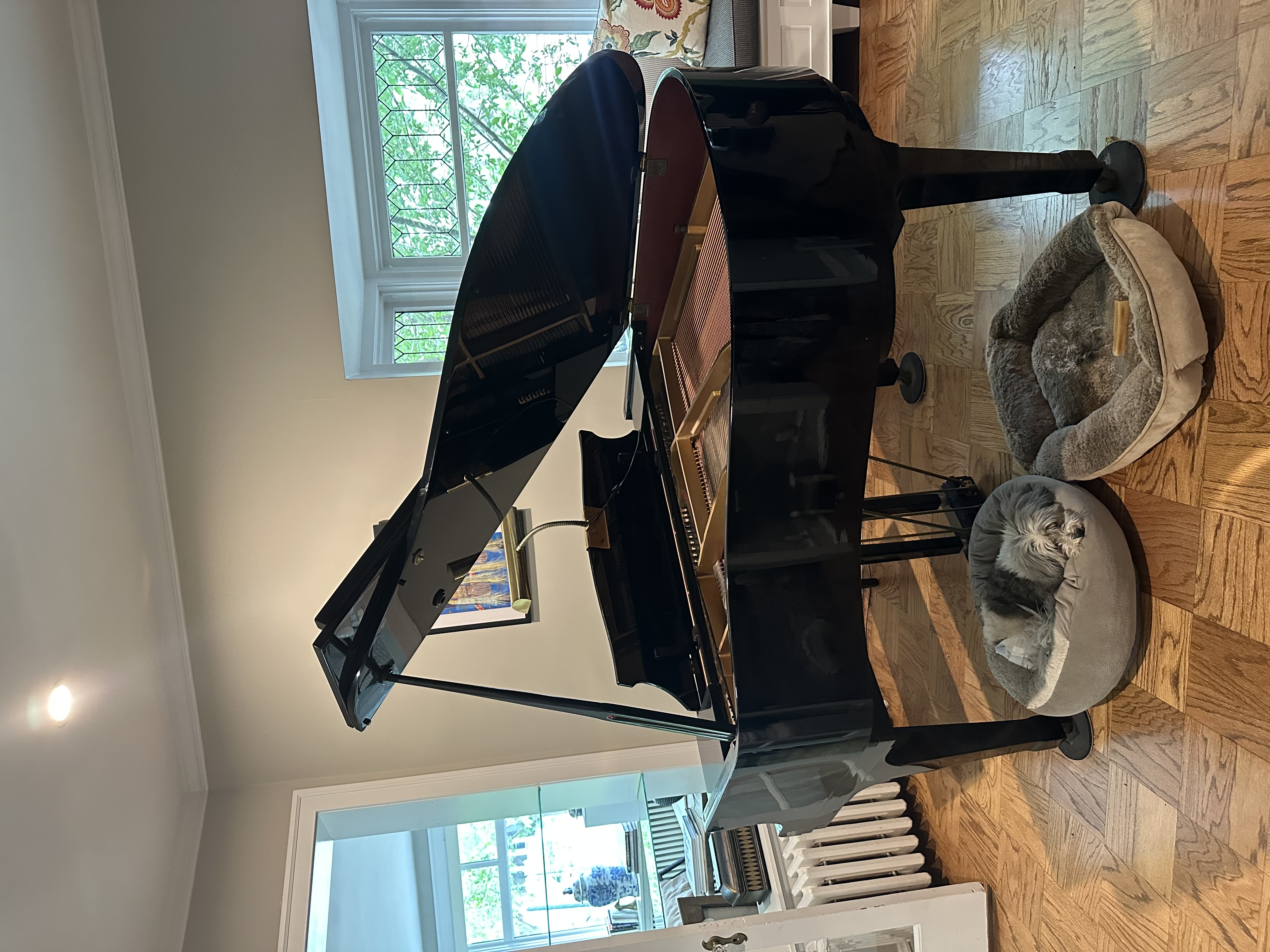 Sojin Baby Grand Piano