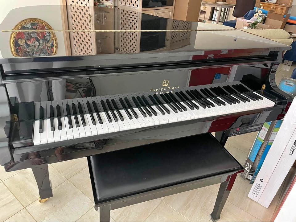 Beautiful Baby Grand Piano