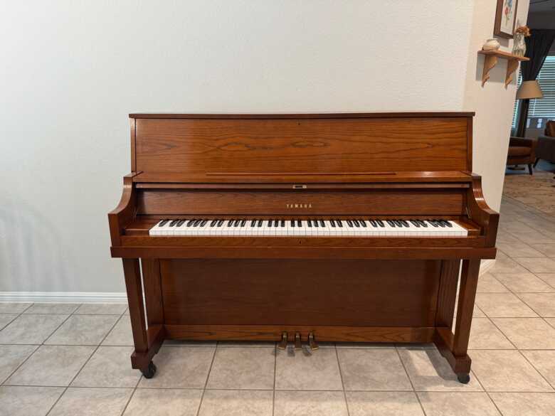 Yamaha P22 