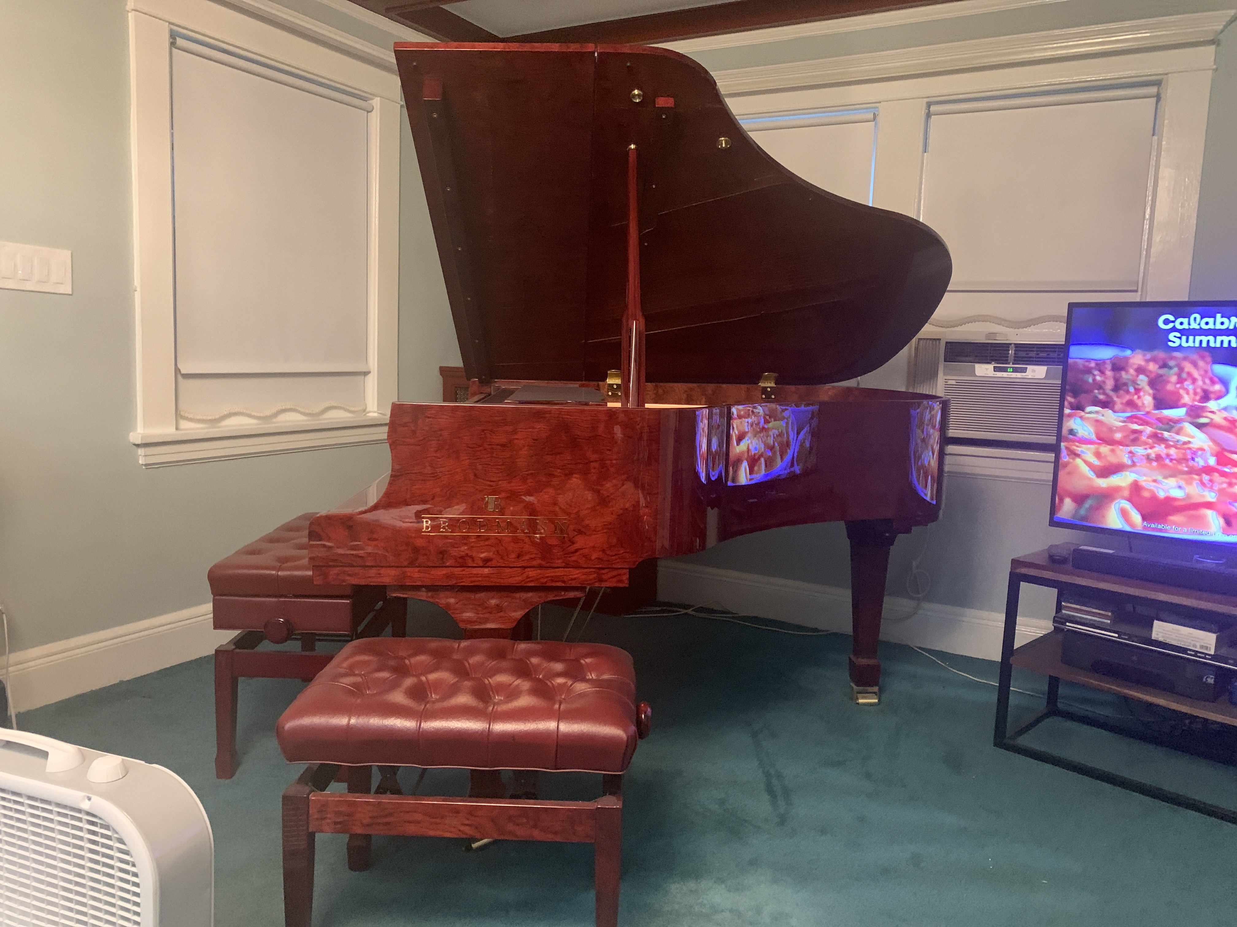 Brodmann PE162 Baby Grand   Purchased New Oct 2022
