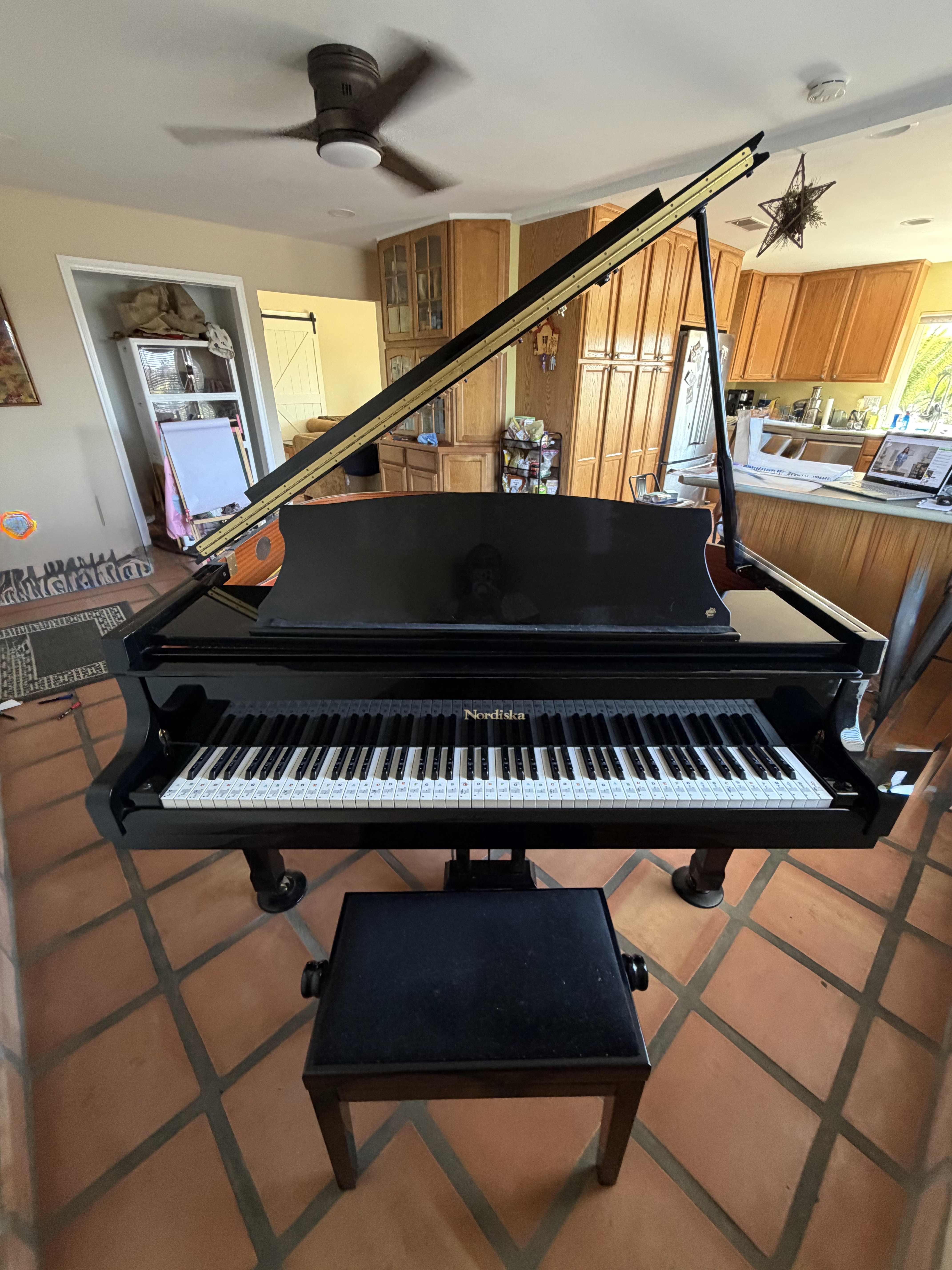Black Nordiska Baby Grand Piano