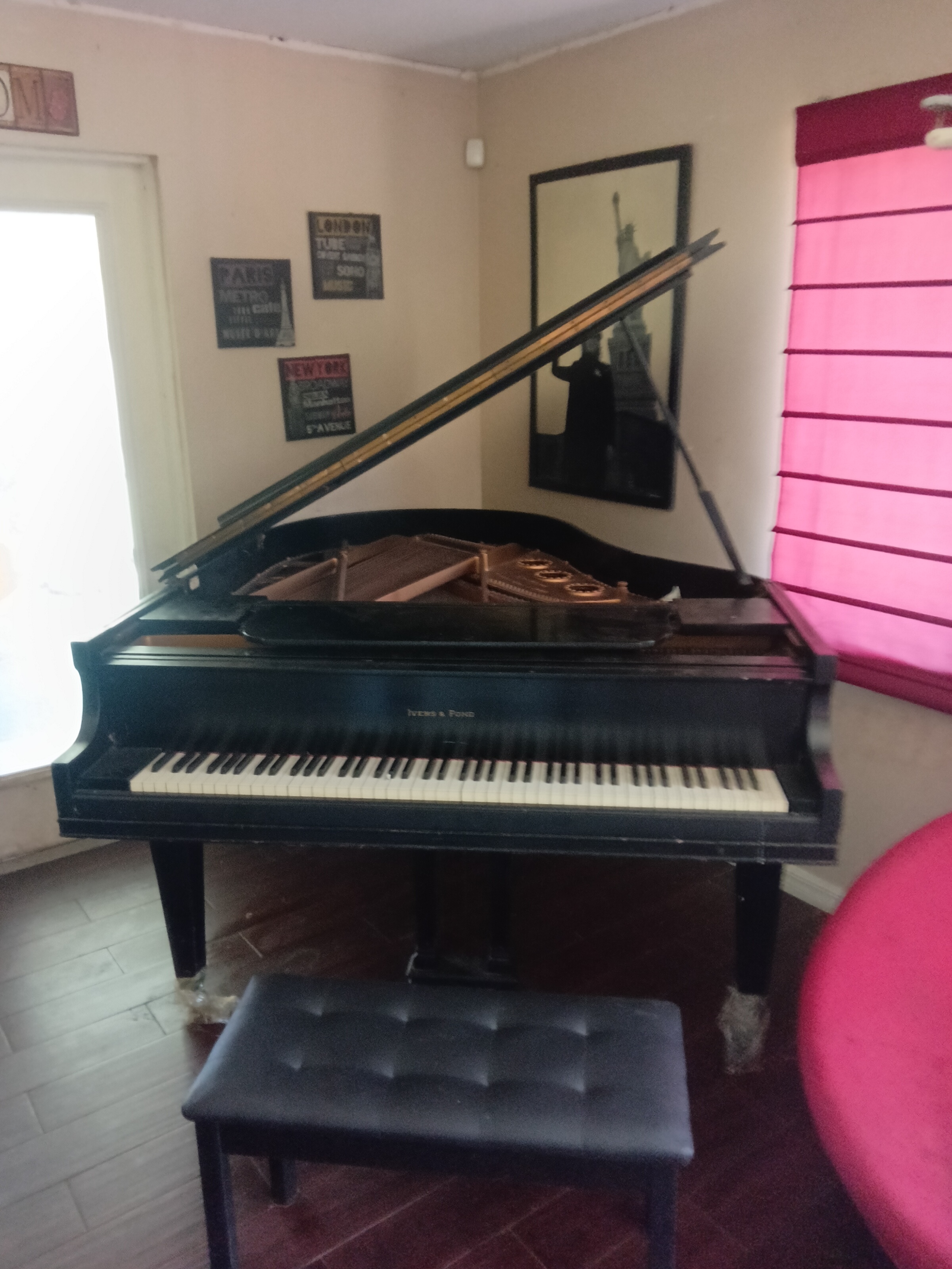 Baby grand,  ivers and pond