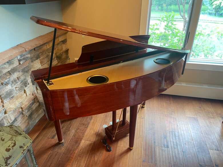 Piano Suzuki MDG-300 Open Box 