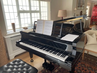 Superb 1926 (Reconditioned 2013) Bluthner Style VII