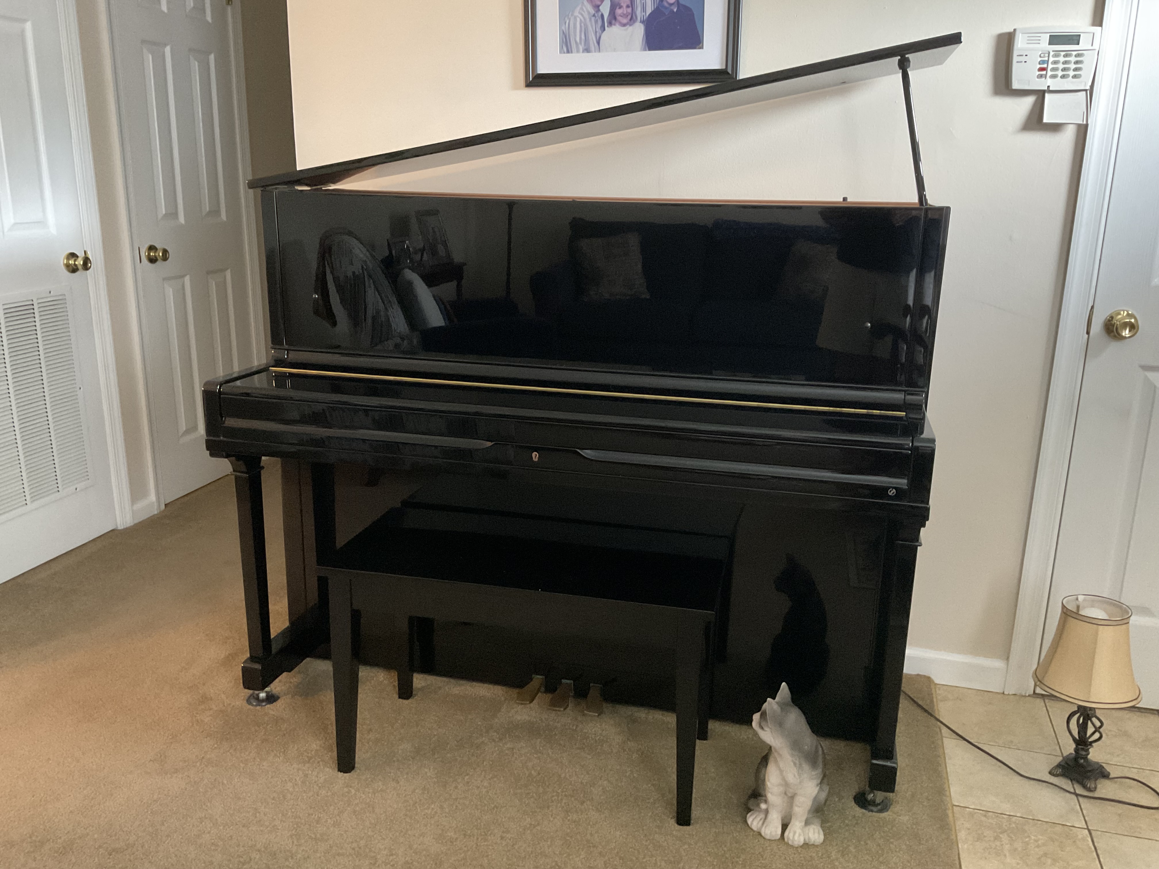 Professional Upright Piano 