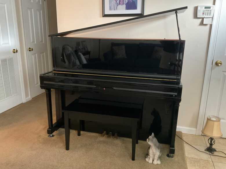 Professional Upright Piano 