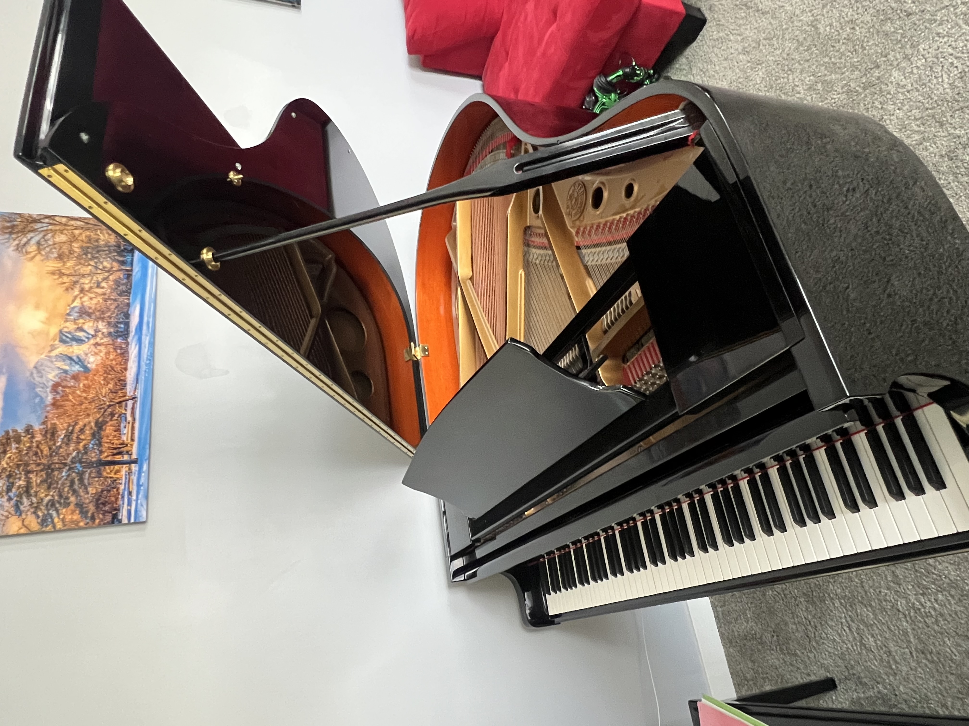 Baby grand piano 