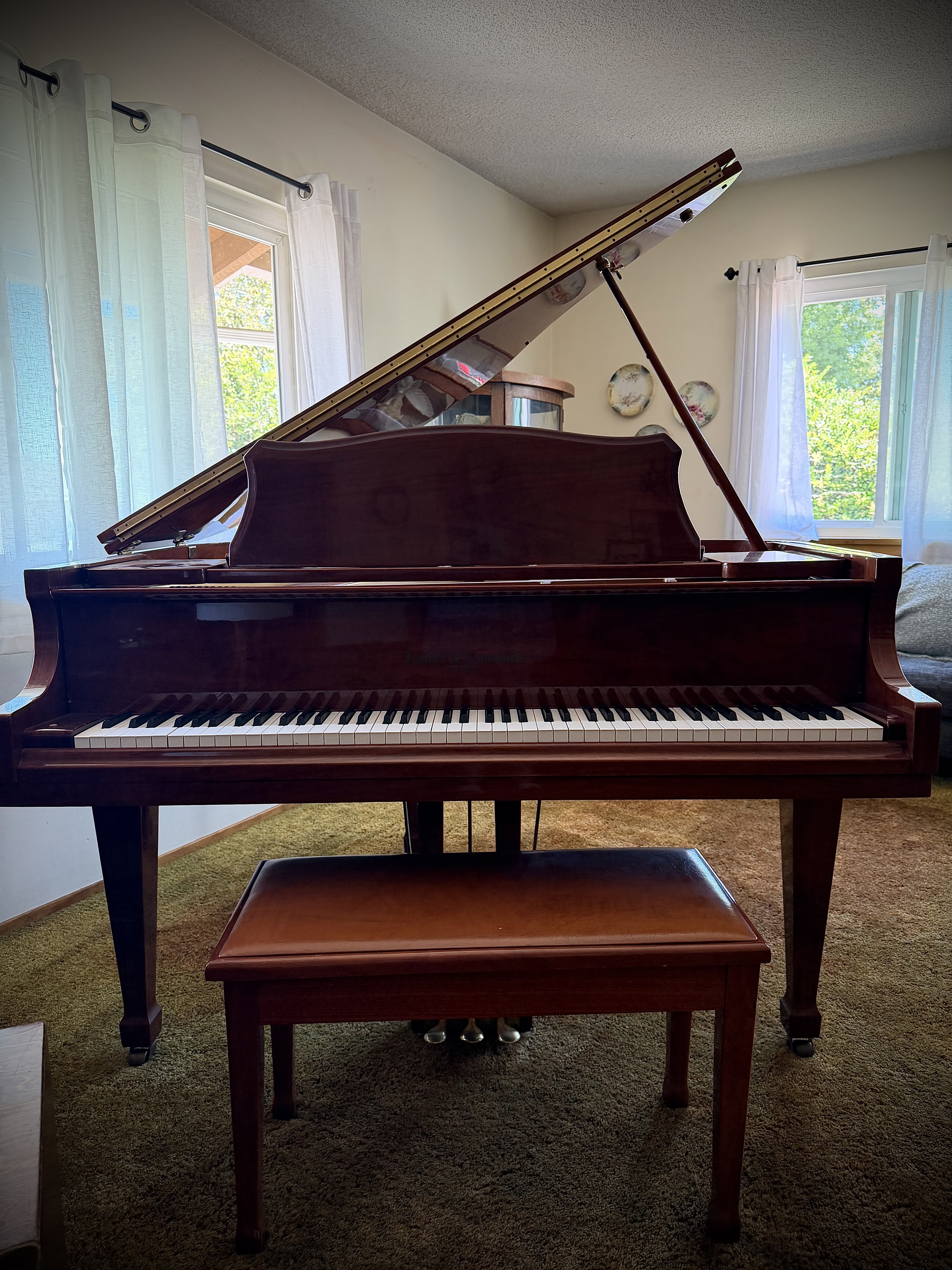 Beautiful Piano for Practice or Giving Lessons