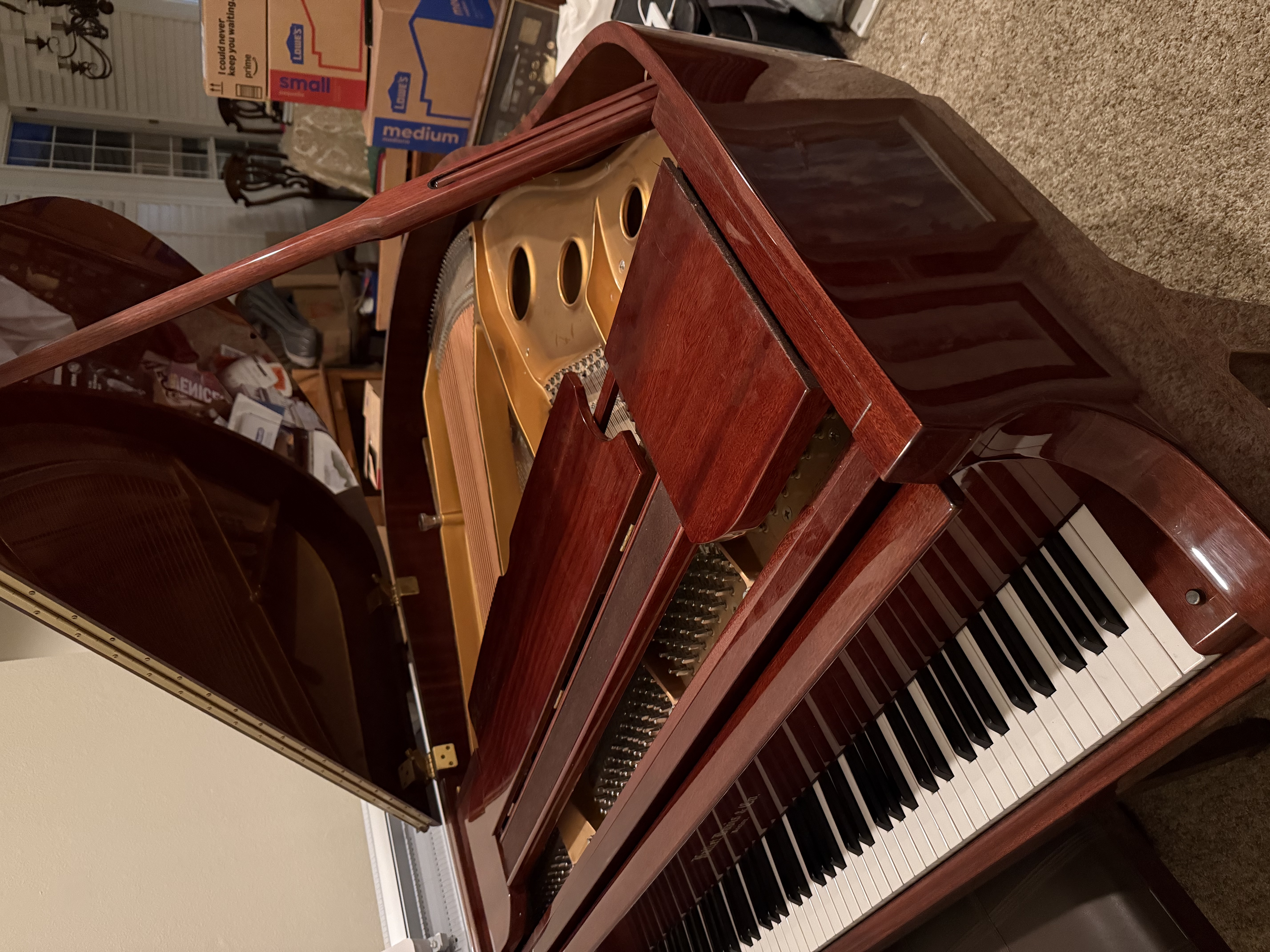 Beautiful Baby Grand
