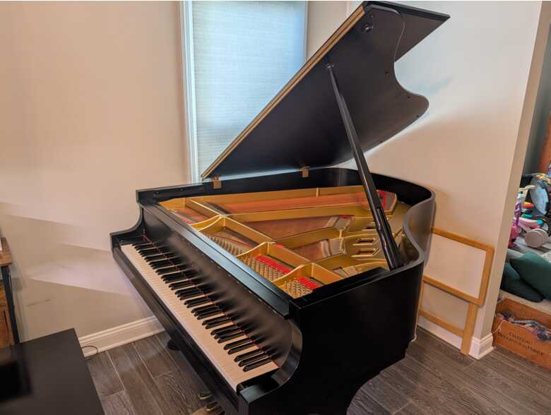 In mint condition from a professional