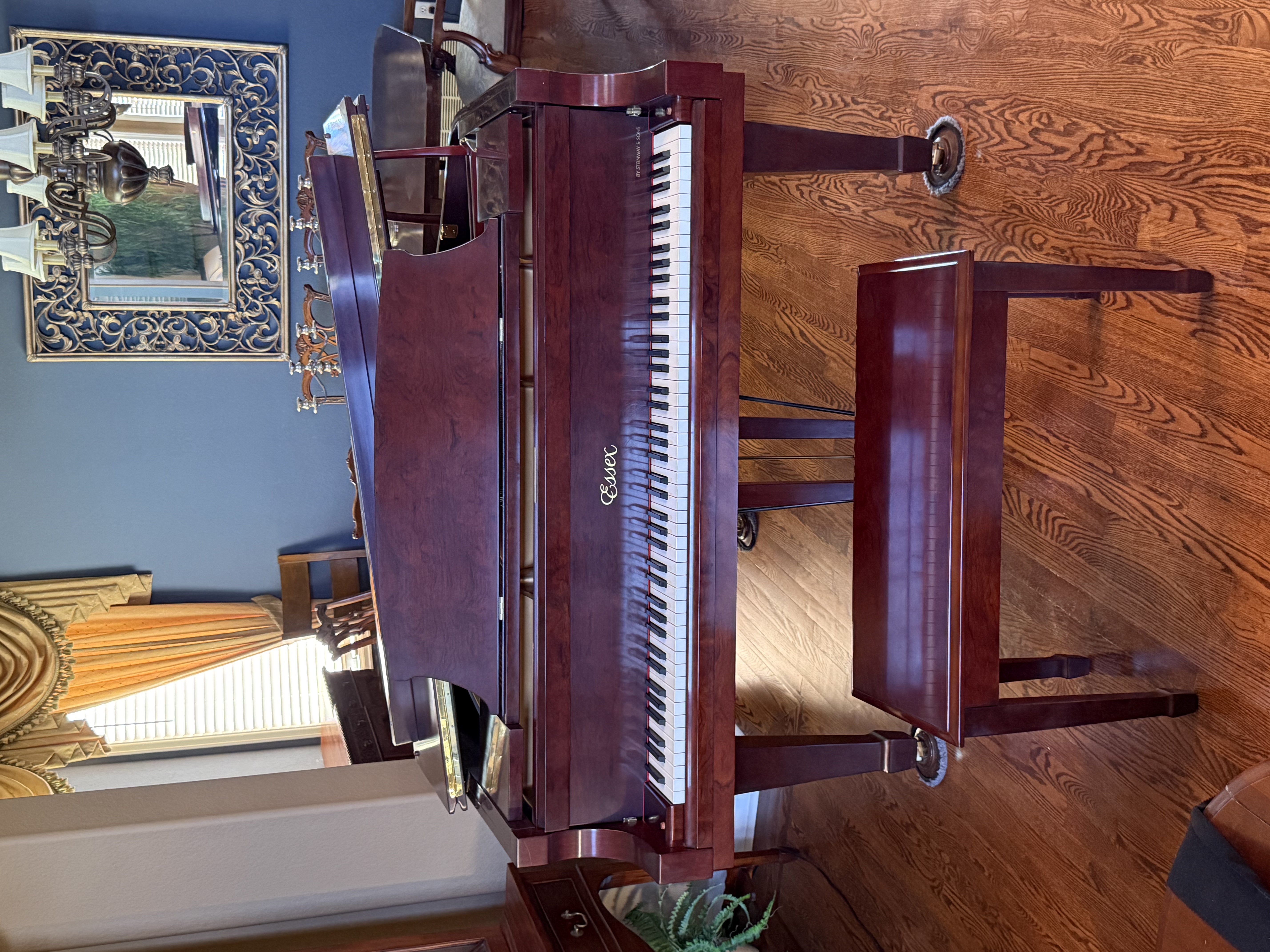 Essex EGP-161 Bubinga African Mahogany