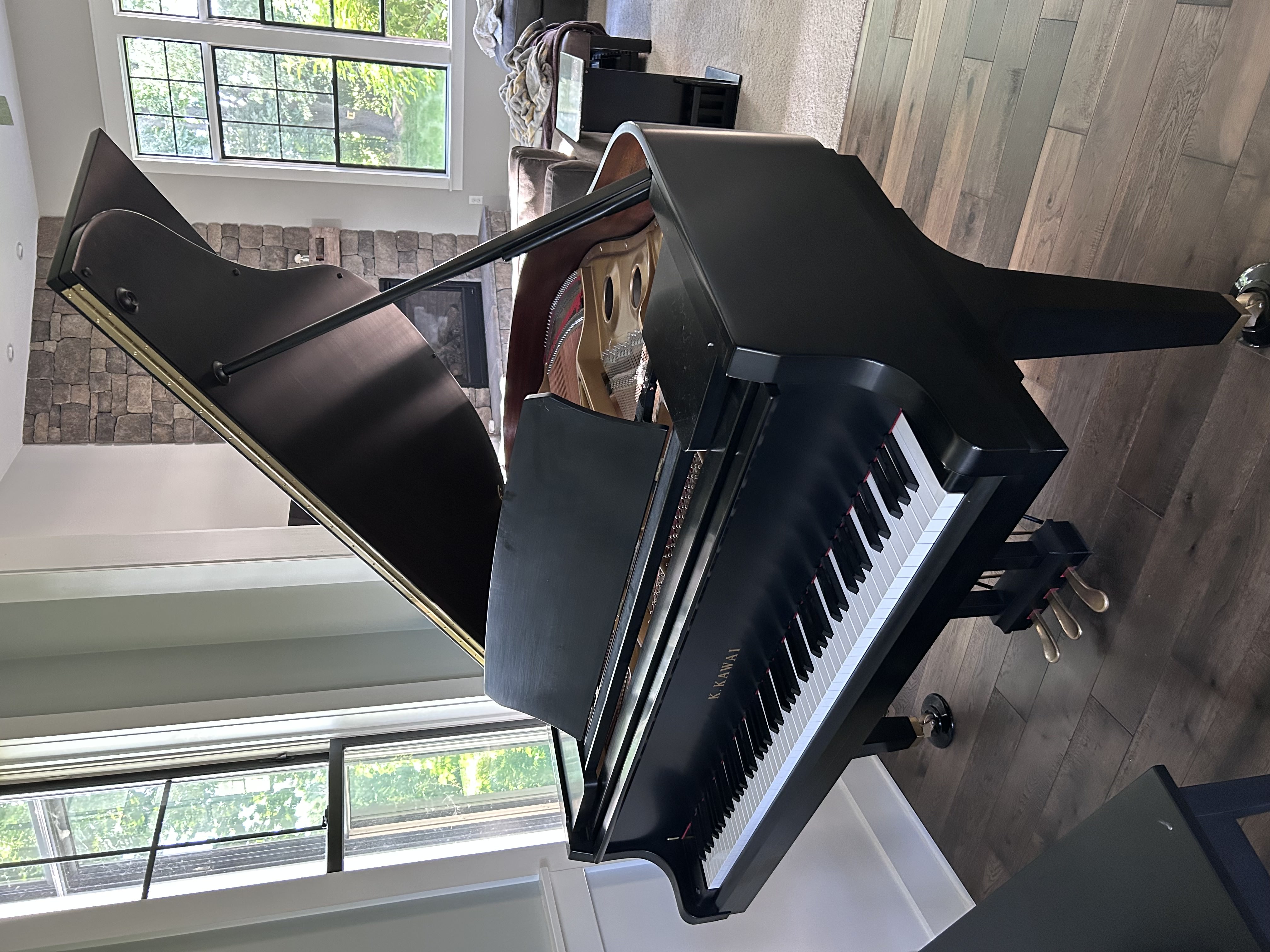 Kawai GL-20, PianoDisc